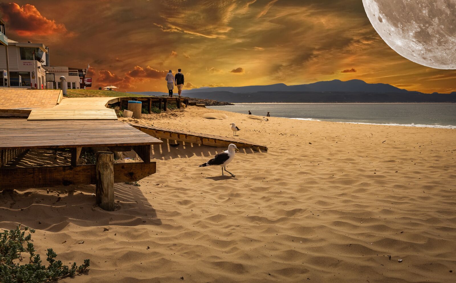 Nikon D750 sample photo. Walk on the beach photography