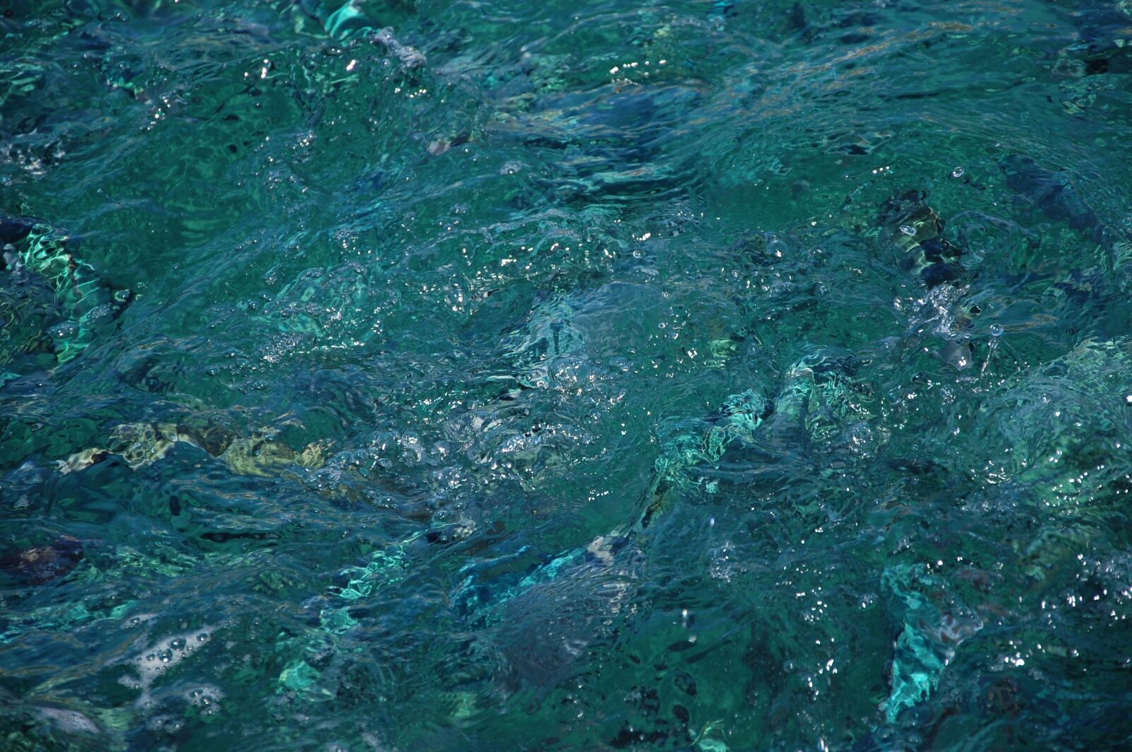 Nikon D40 sample photo. Fish, turkey, budrom photography
