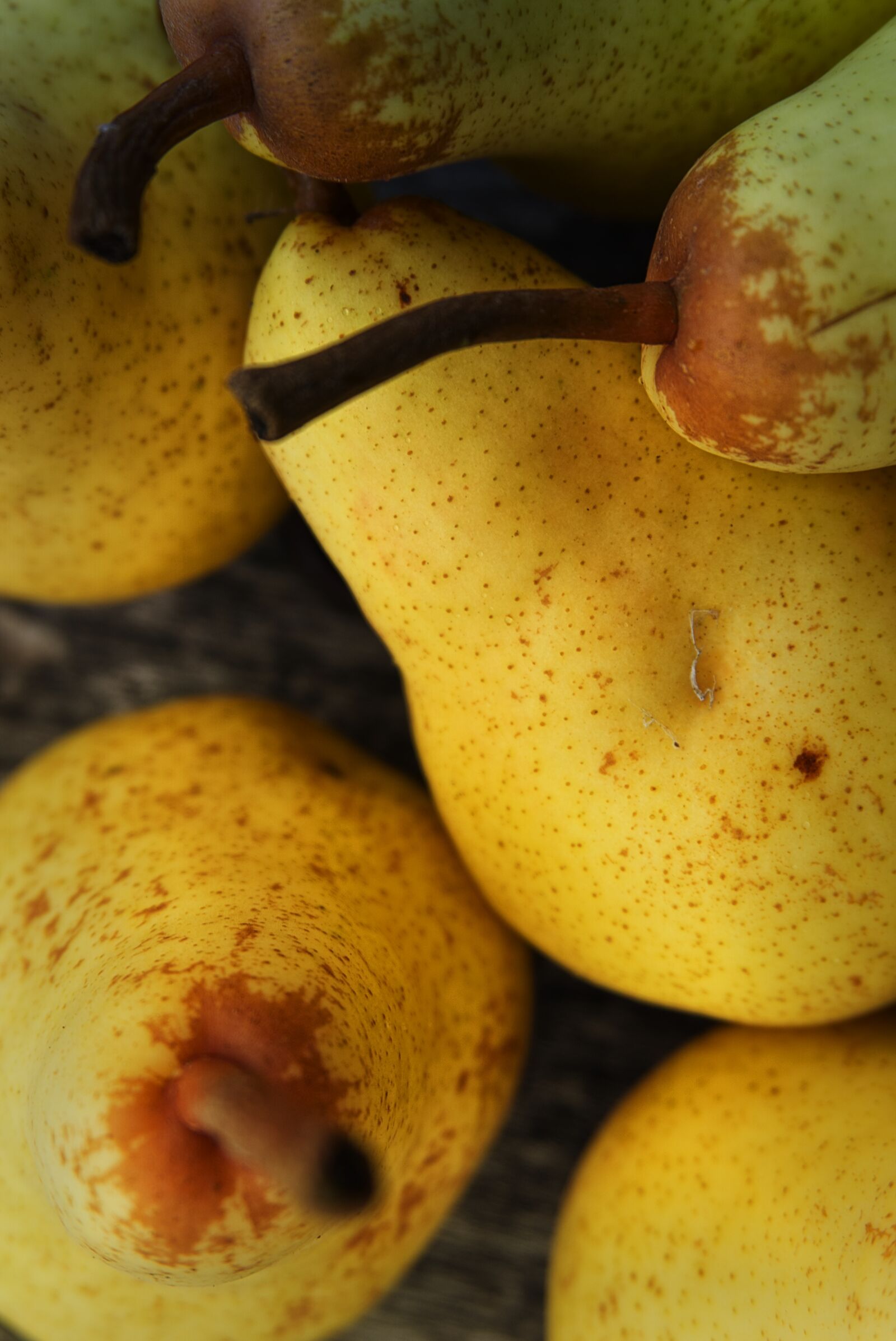 Sony a6000 sample photo. Pears, fruit, dessert photography