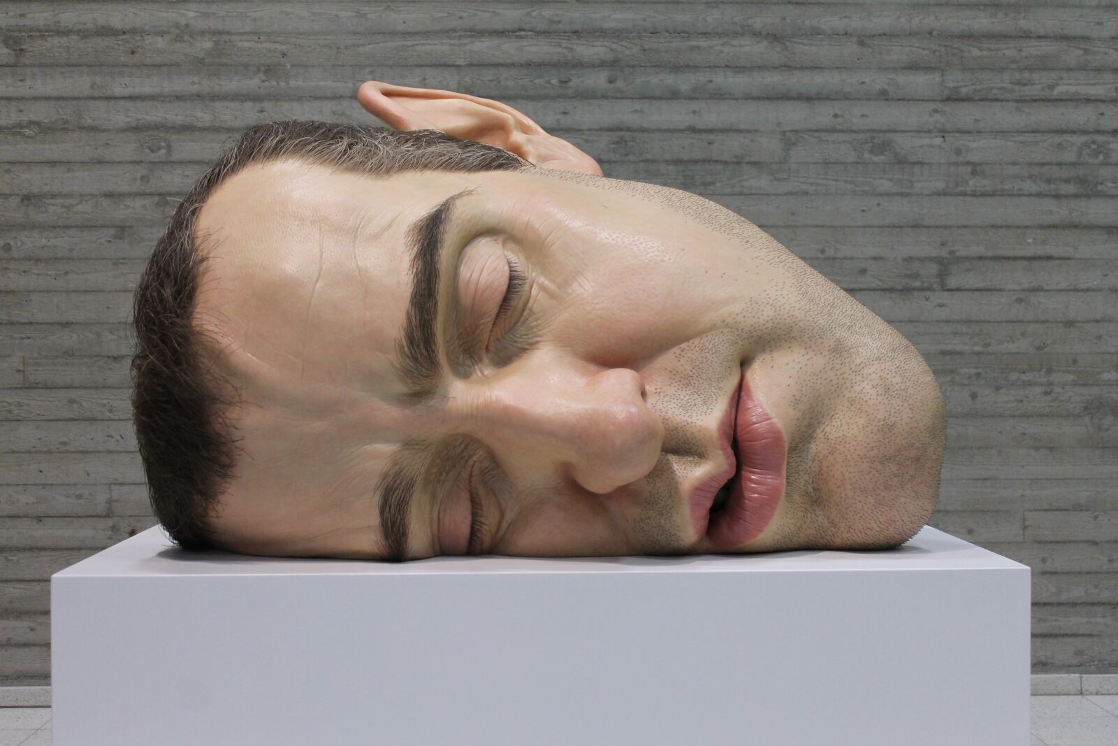 Canon EOS 1100D (EOS Rebel T3 / EOS Kiss X50) sample photo. Art, ron mueck, finland photography