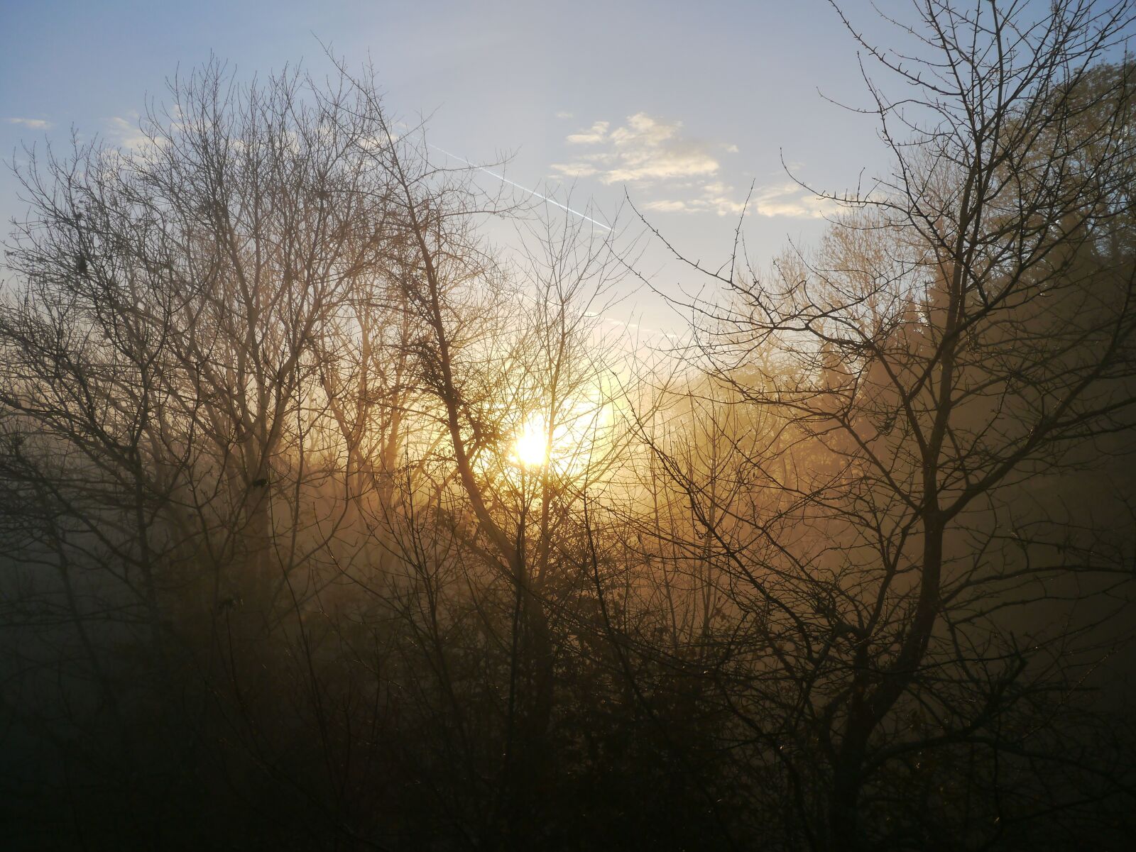 Panasonic Lumix DMC-G3 sample photo. Sunrise, fog, autumn photography