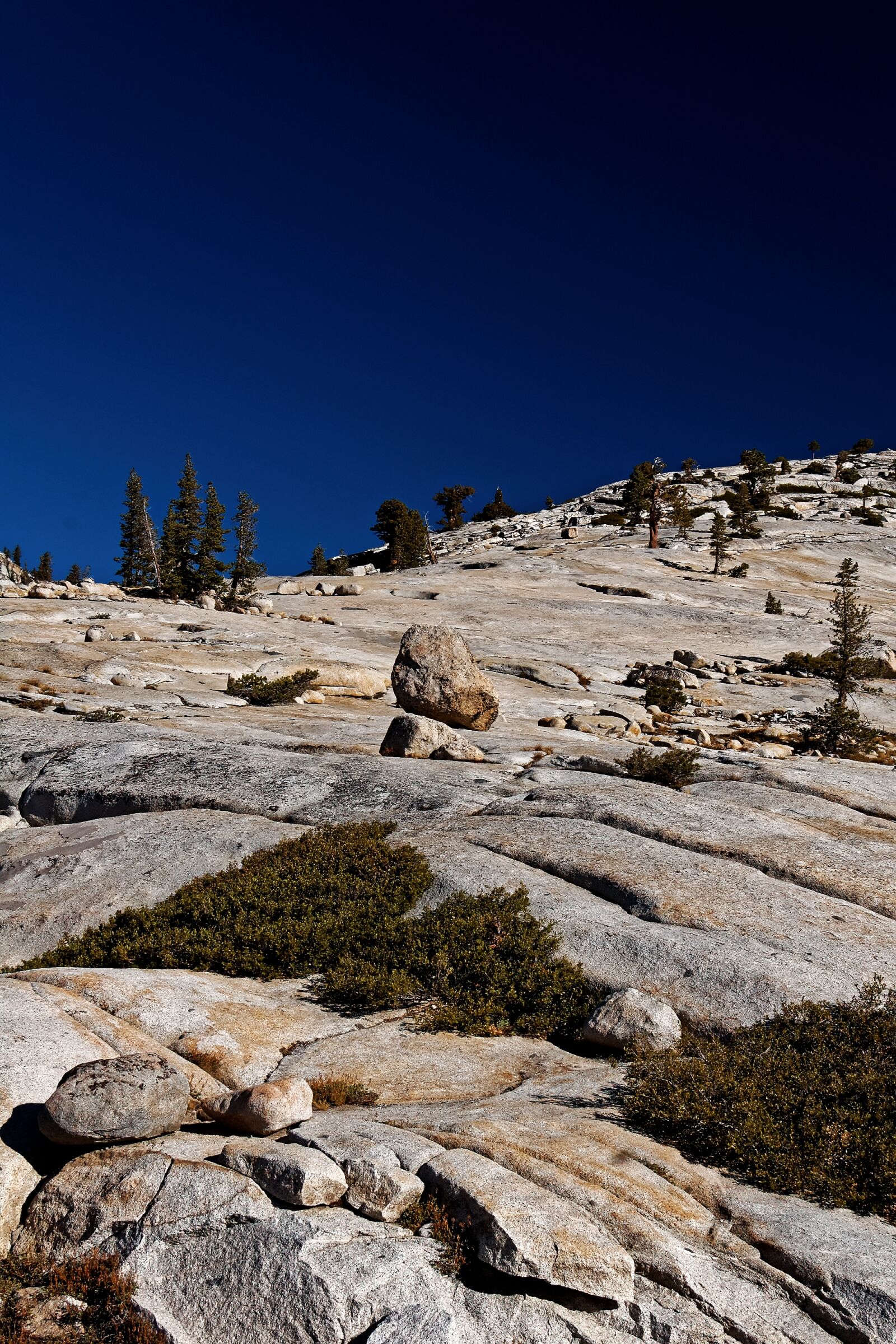 Nikon D50 sample photo. California, national park, usa photography