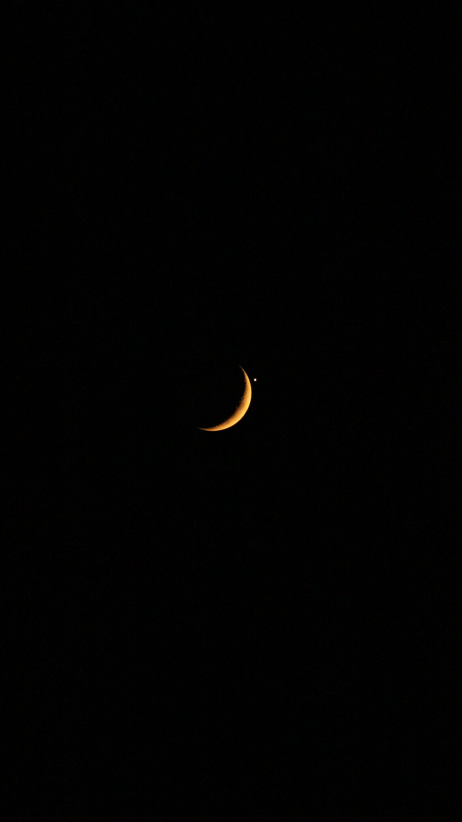 Canon EOS 700D (EOS Rebel T5i / EOS Kiss X7i) sample photo