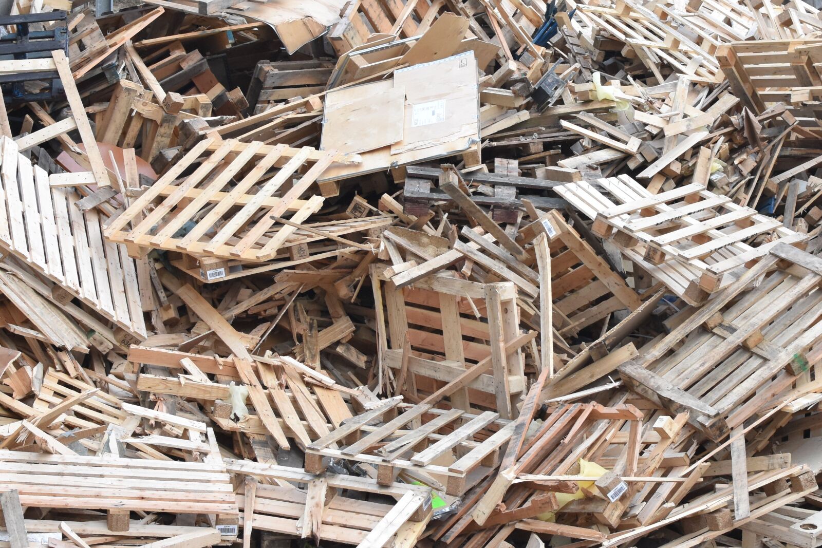 Nikon D7200 sample photo. Wood waste, waste, wood photography