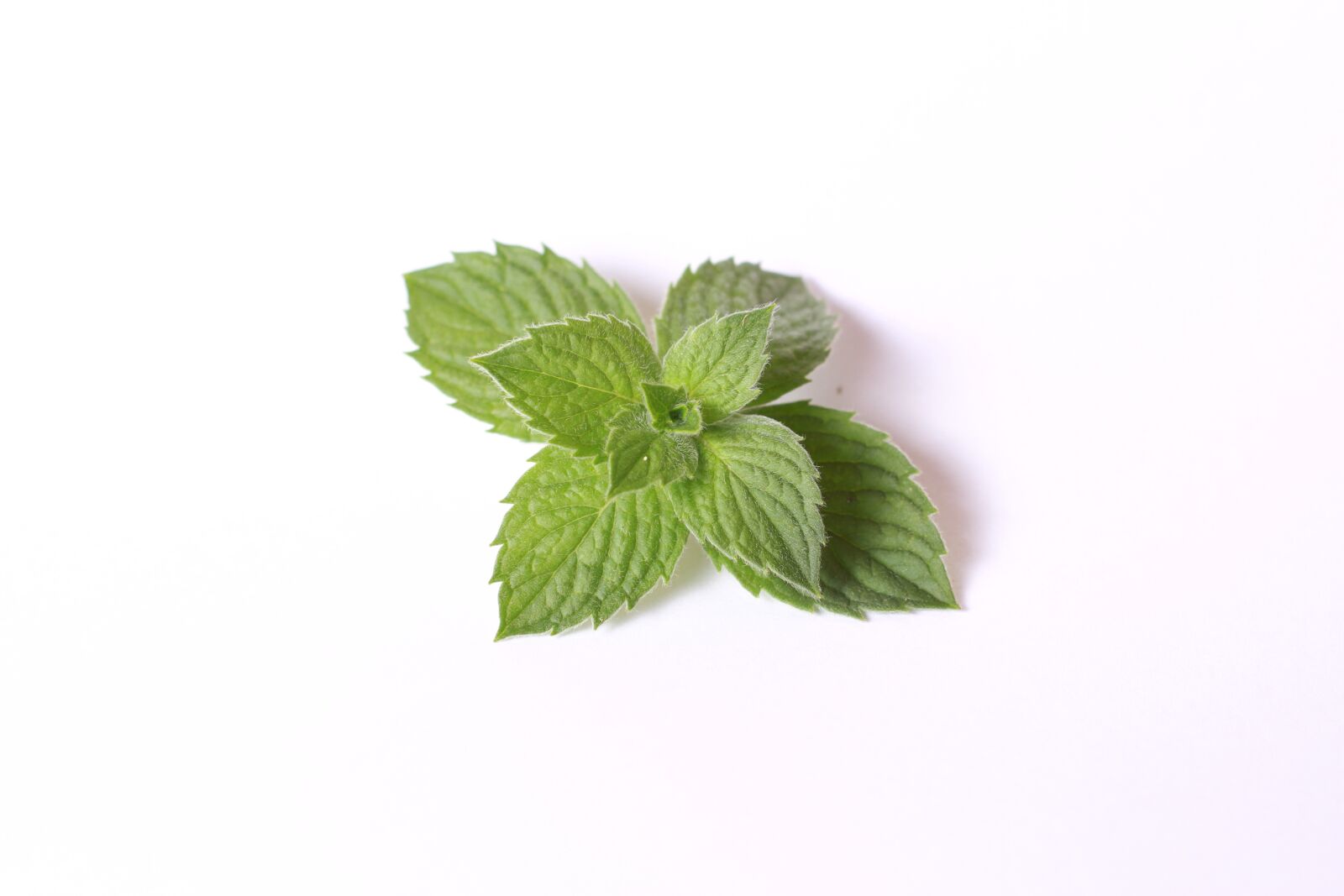 Canon EOS 7D sample photo. Mint, food, tea photography
