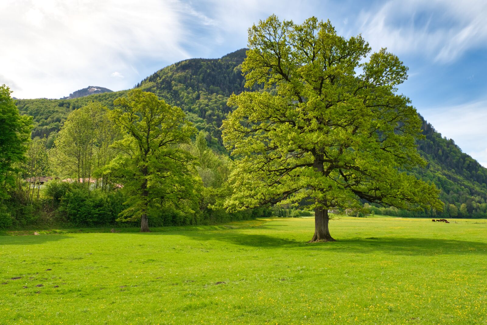 Nikon D7500 sample photo. Landscape, upper bavaria, chiemgau photography