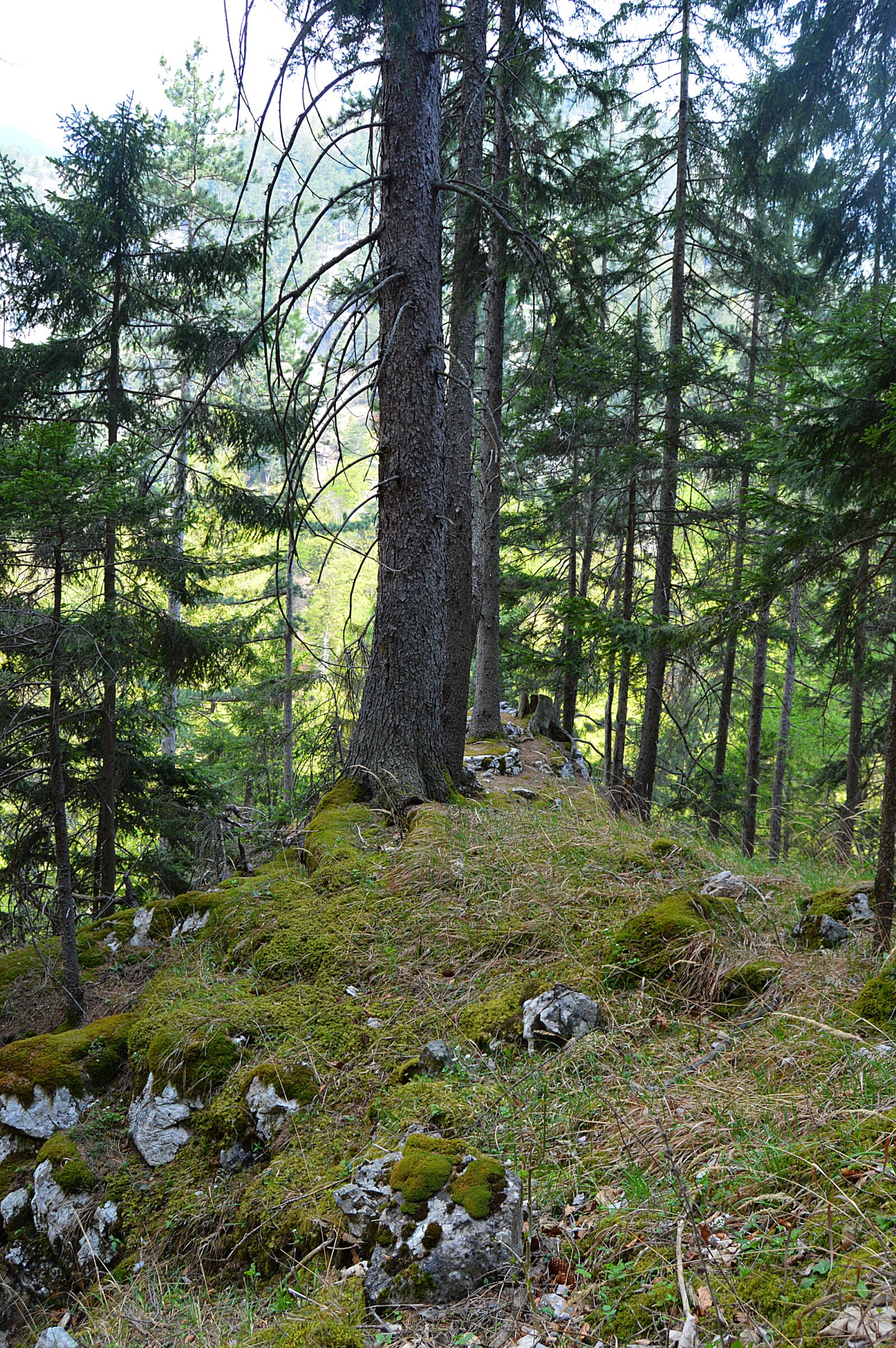 Nikon D3200 sample photo. Snow mountain, rax, lower photography