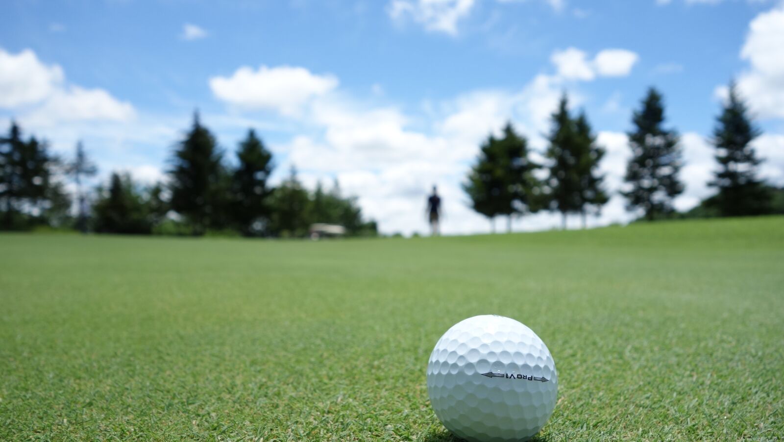 Sony Cyber-shot DSC-RX100 sample photo. Golf, ball, green photography