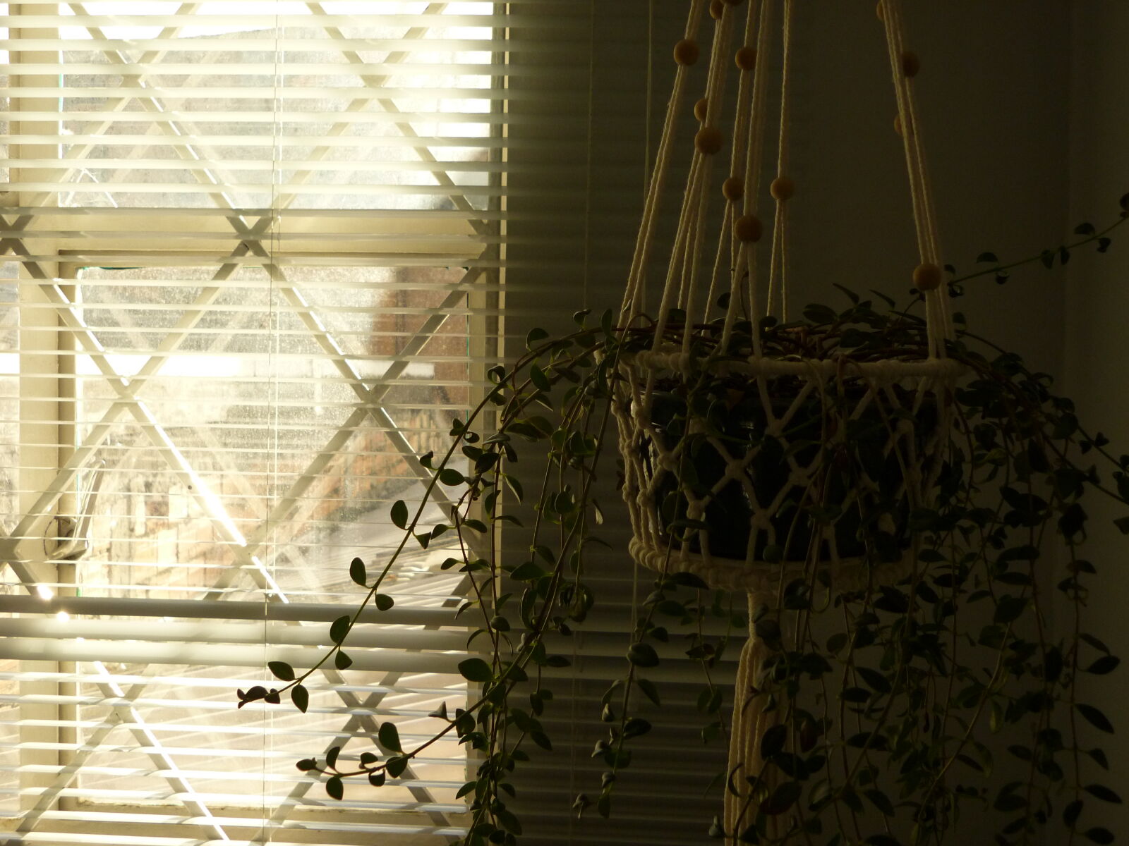 Panasonic DMC-FS12 sample photo