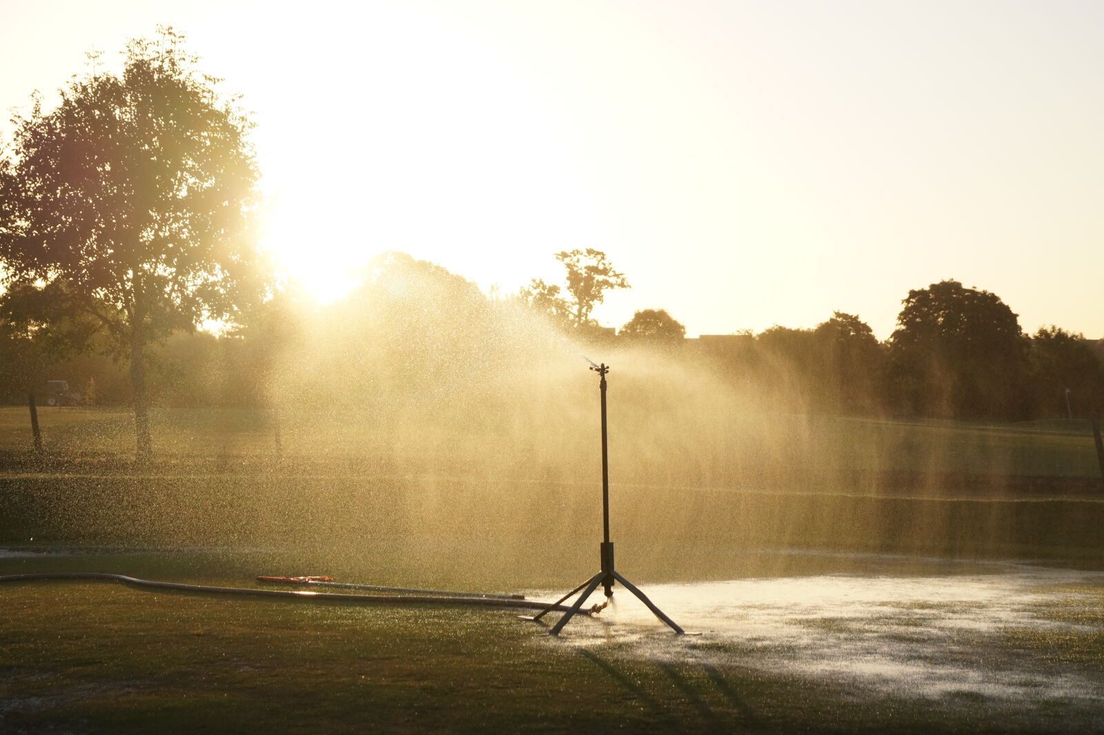 Sony DT 18-55mm F3.5-5.6 SAM II sample photo. Grass, lawn, park, sprinkler photography