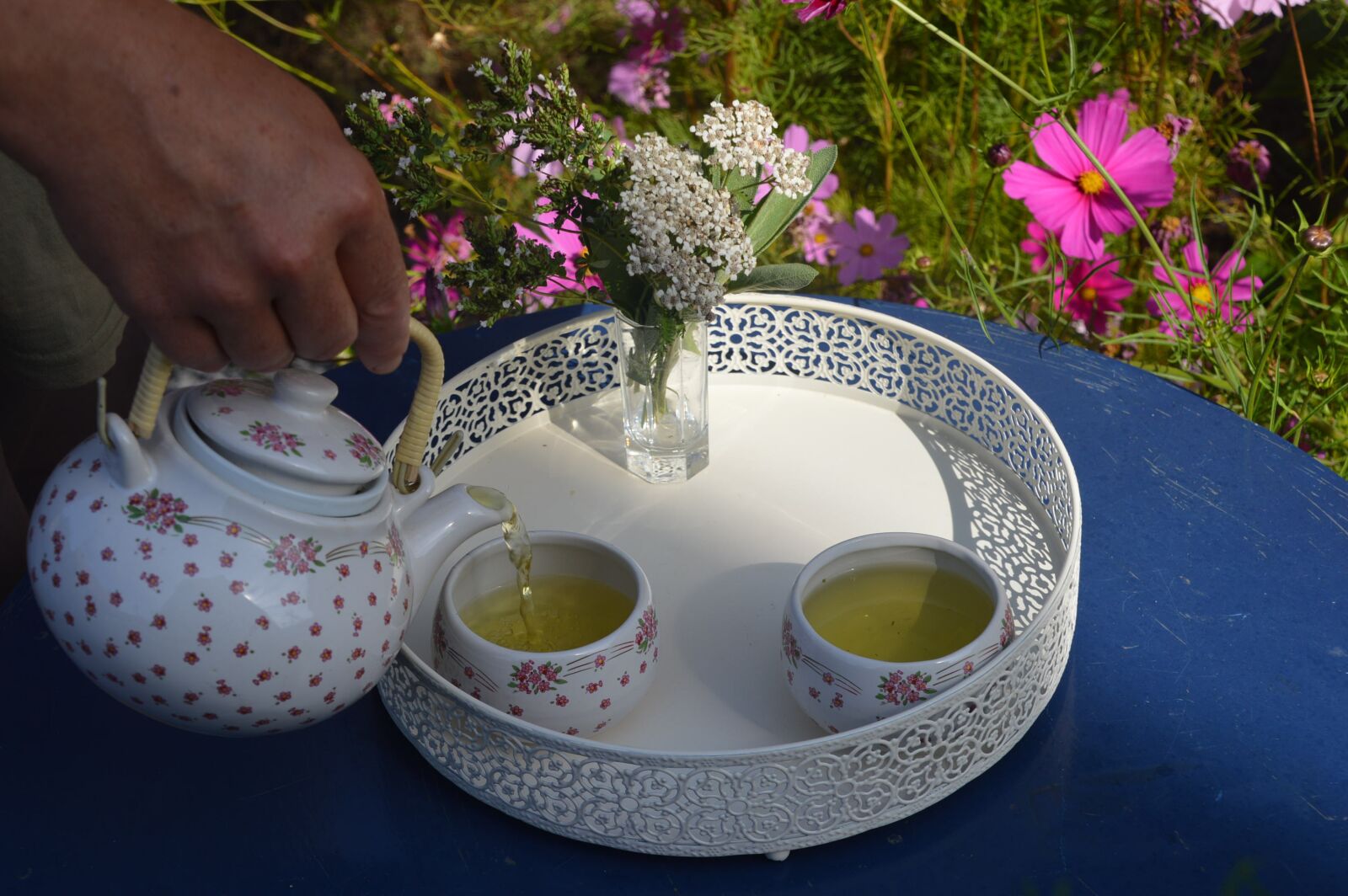 Nikon D3200 sample photo. Tea, cup, drink photography