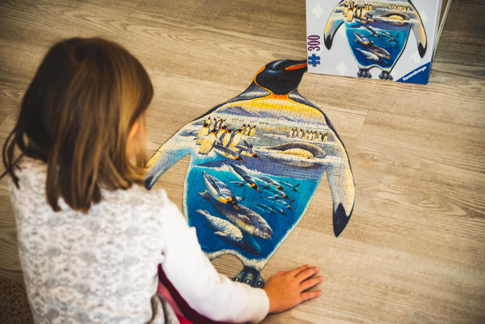 Nikon D750 sample photo. Puzzle, child, puzzles photography