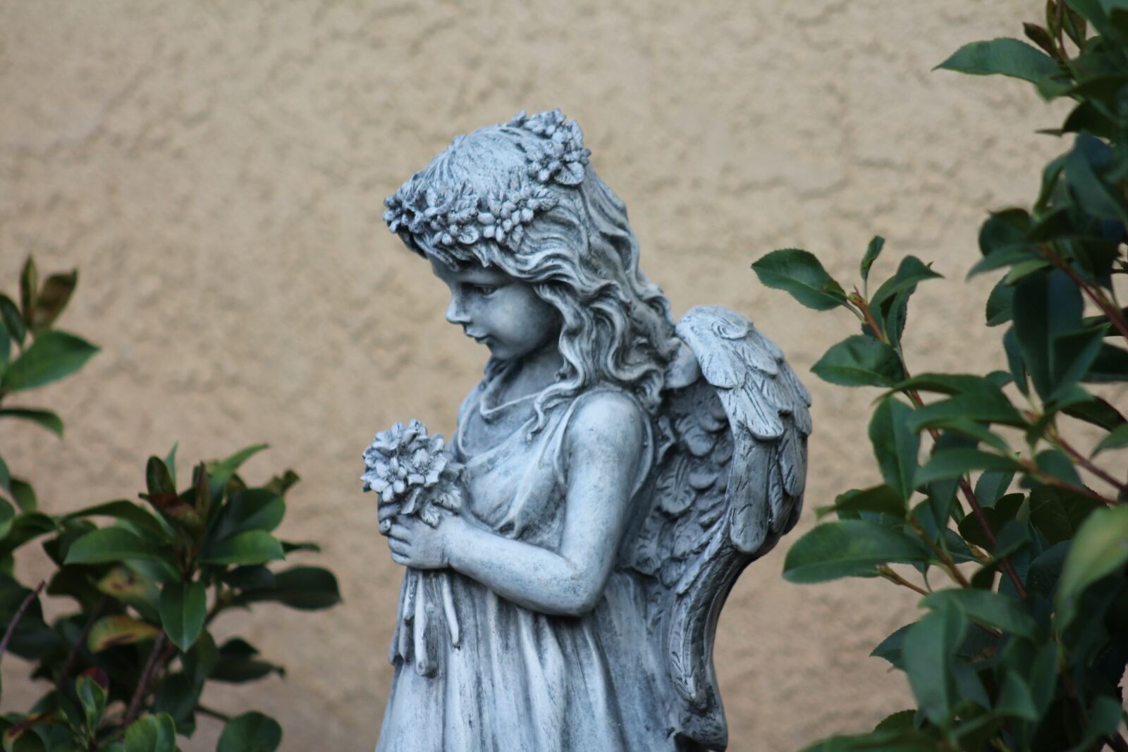 Canon EF 75-300mm f/4-5.6 sample photo. Angel, garden art, sculpture photography