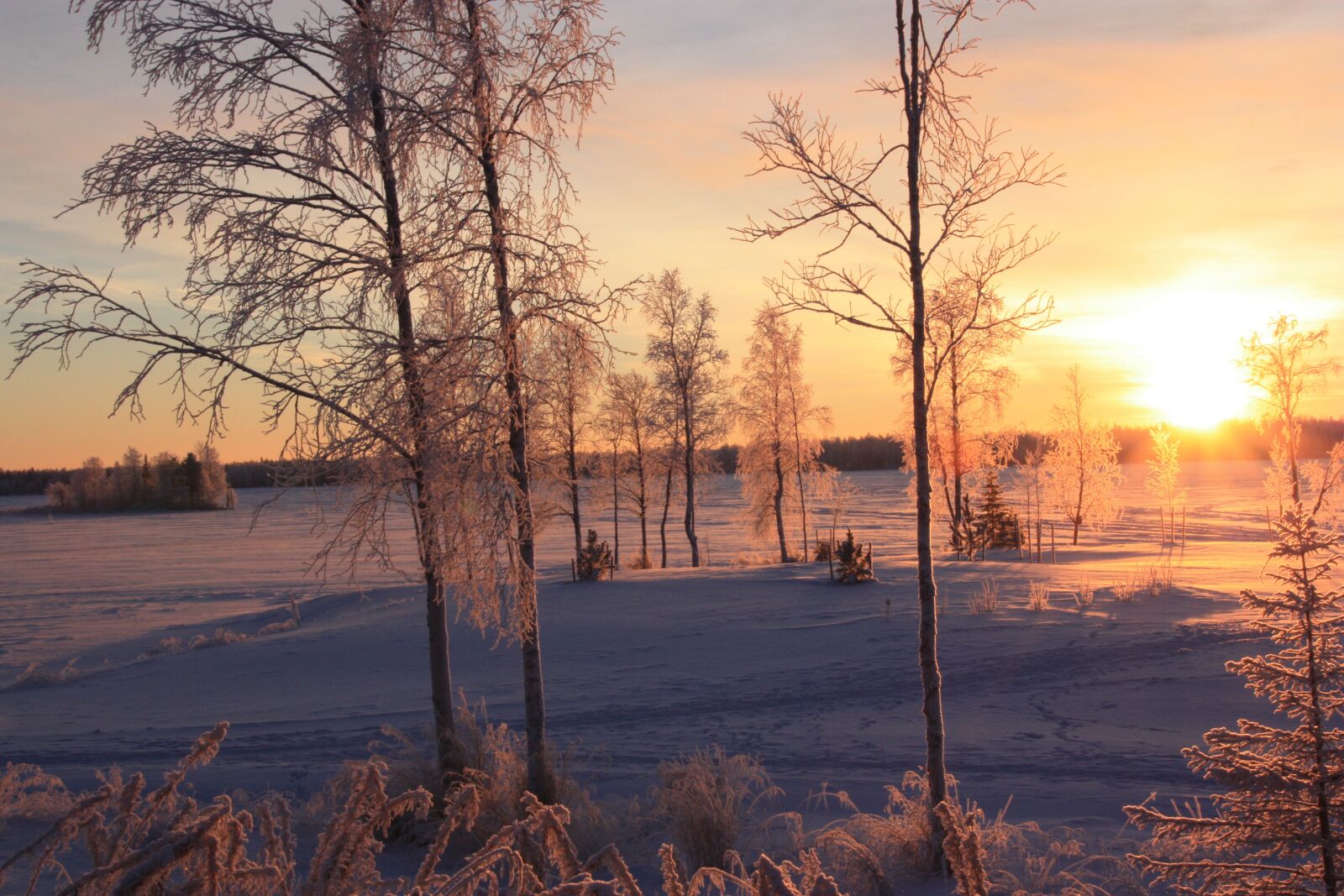 Canon EOS 450D (EOS Rebel XSi / EOS Kiss X2) sample photo. Cold, snowy, lapland photography