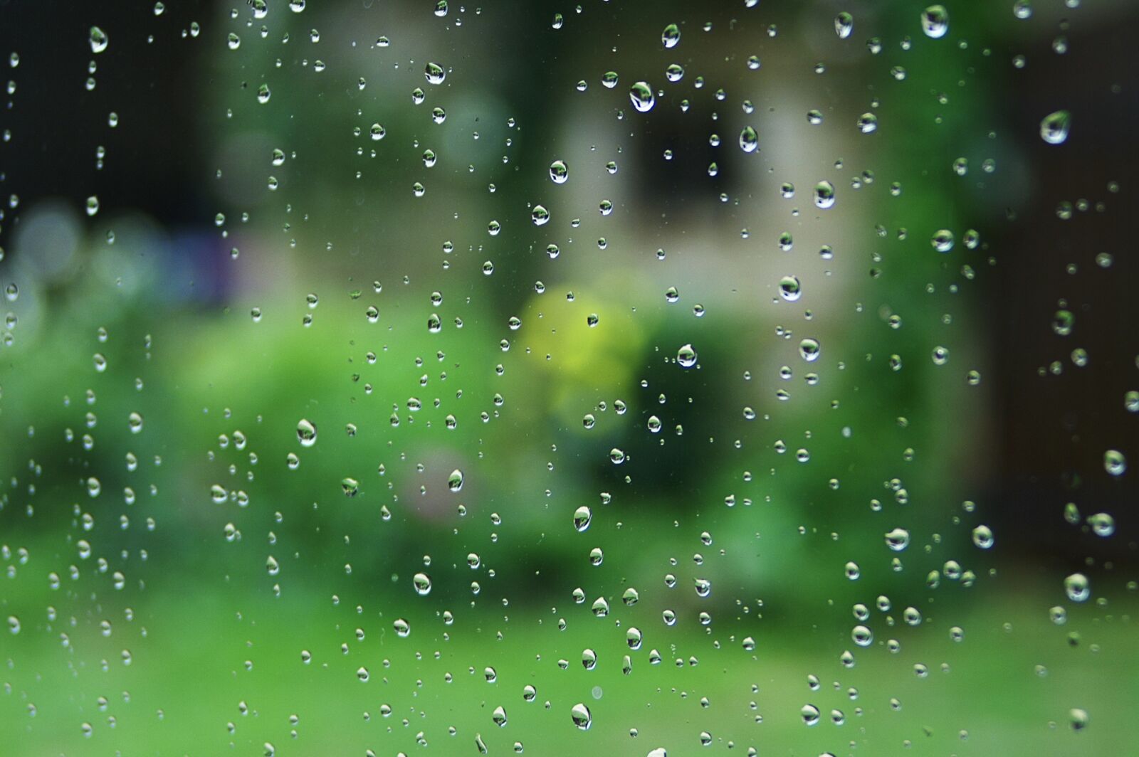 KONICA MINOLTA DYNAX 7D sample photo. Rain, drop, window photography
