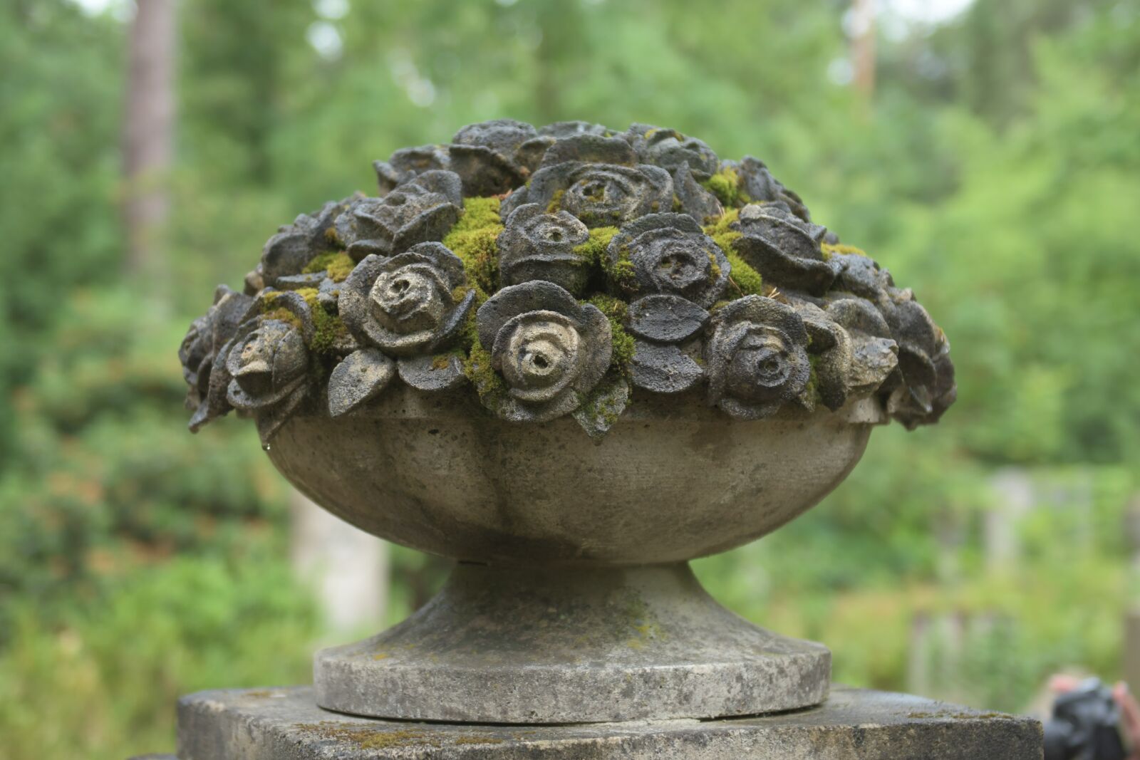 Nikon D500 sample photo. Cemetery, stone, tomb photography