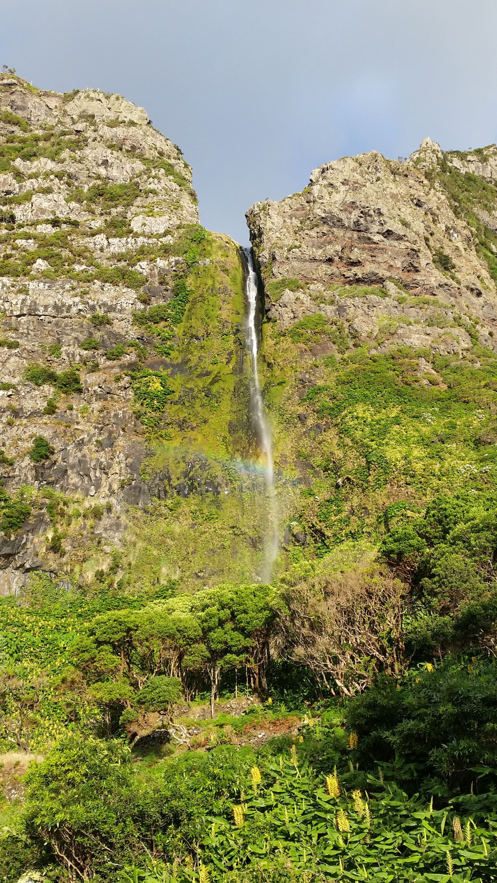 Samsung Galaxy S5 sample photo. Cliff, greenery, scenic photography