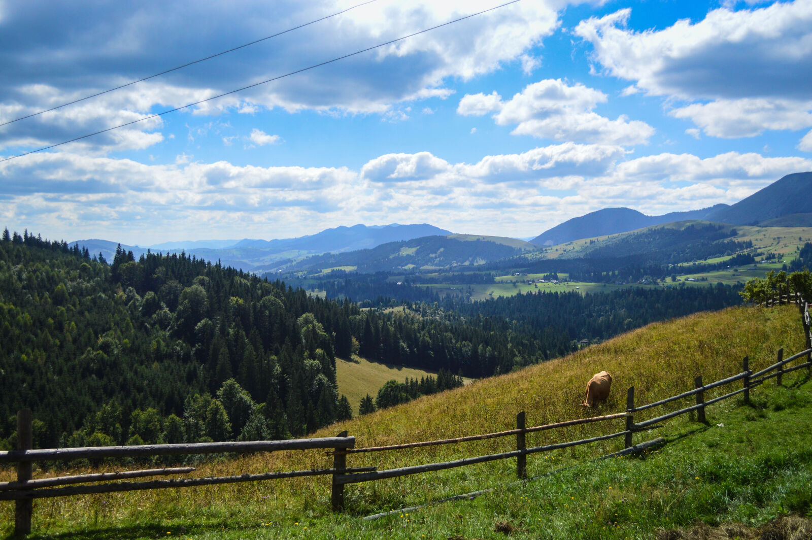 Nikon D3200 sample photo. Summer, hill, nature, mountains photography