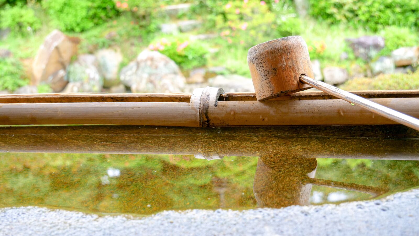 Panasonic Lumix DC-GH5 + LUMIX G VARIO 12-60/F3.5-5.6 sample photo. Kyoto, japan garden, japan photography