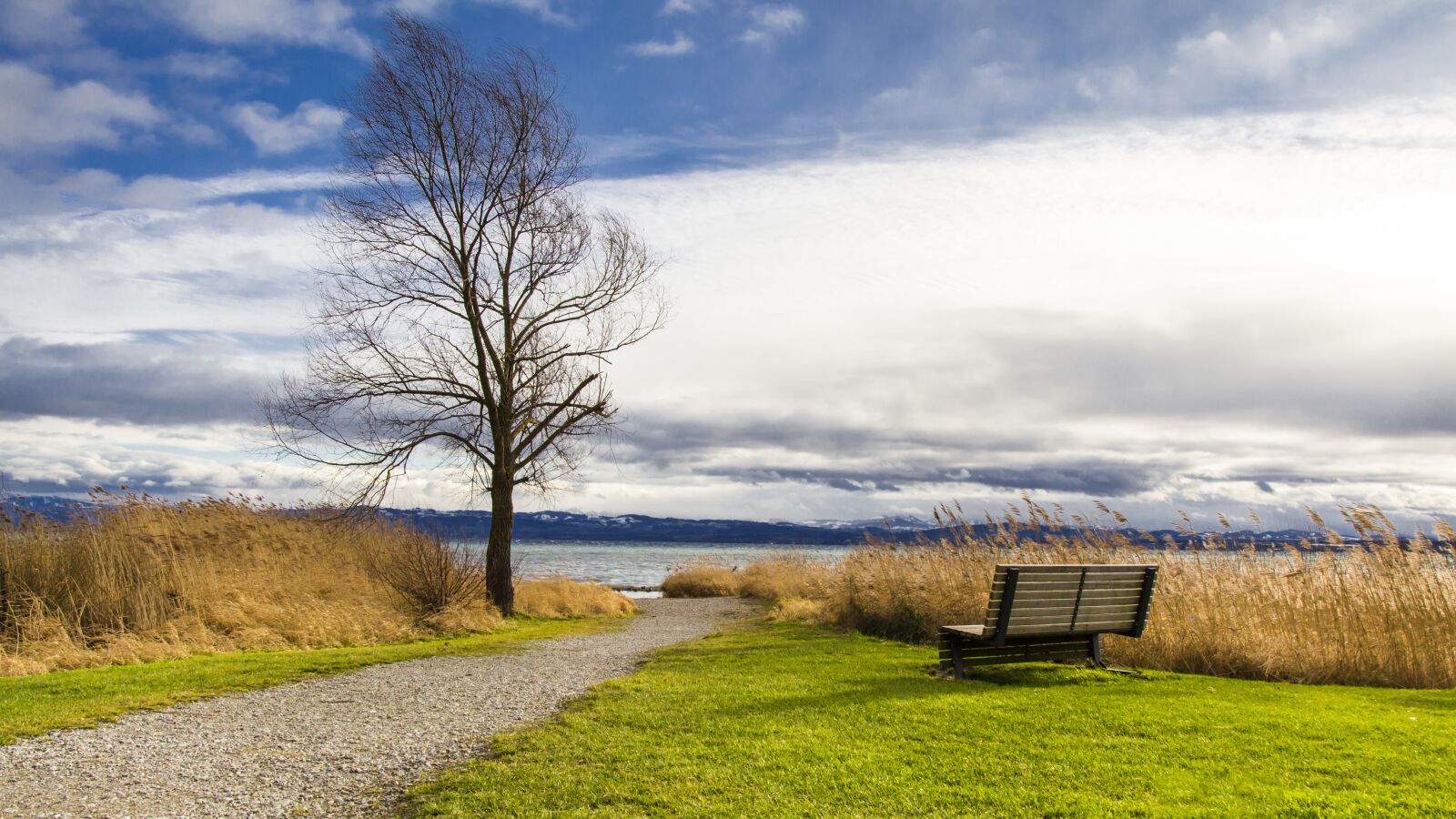 Canon EOS 650D (EOS Rebel T4i / EOS Kiss X6i) sample photo. Lake constance, seat, immenstaad photography