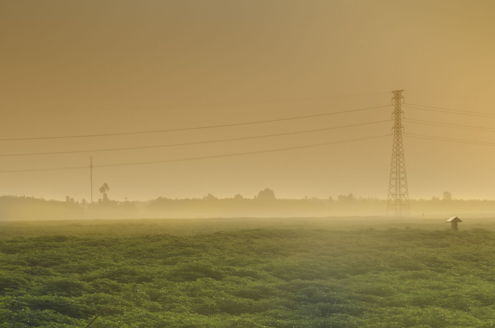 Nikon D5100 sample photo. Field, dawn, sunset photography
