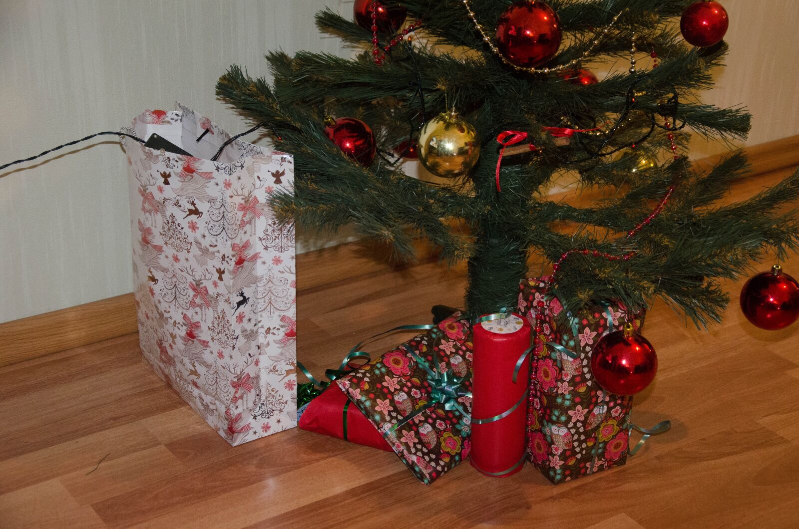 Nikon D5100 sample photo. Christmas tree, new year's photography