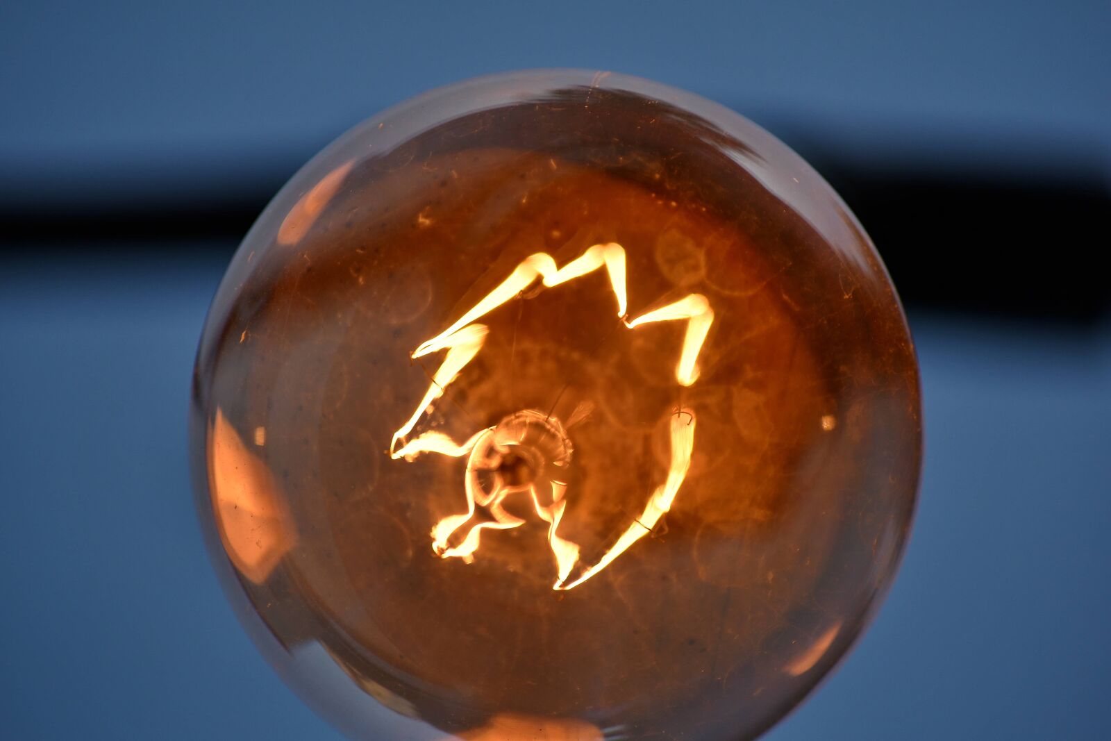 Nikon D5500 sample photo. Light bulb, transparent, voltage photography