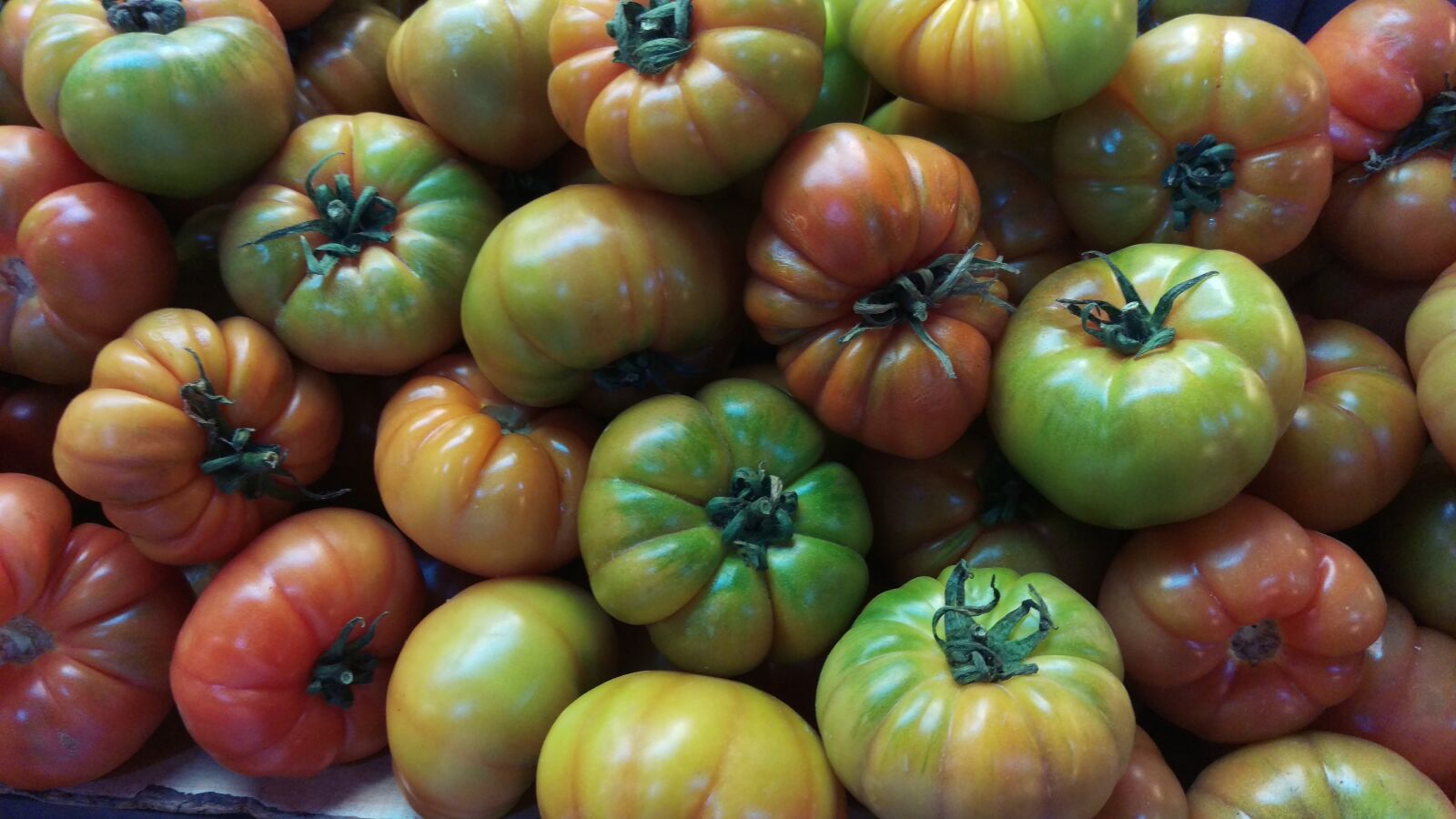 HTC ONE M9 sample photo. Tomatoes, vegetables, food market photography