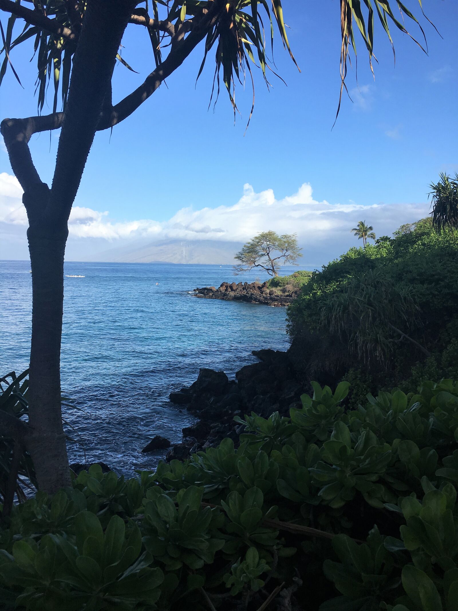 Apple iPhone 6s sample photo. Hawaii, scene, seascape photography