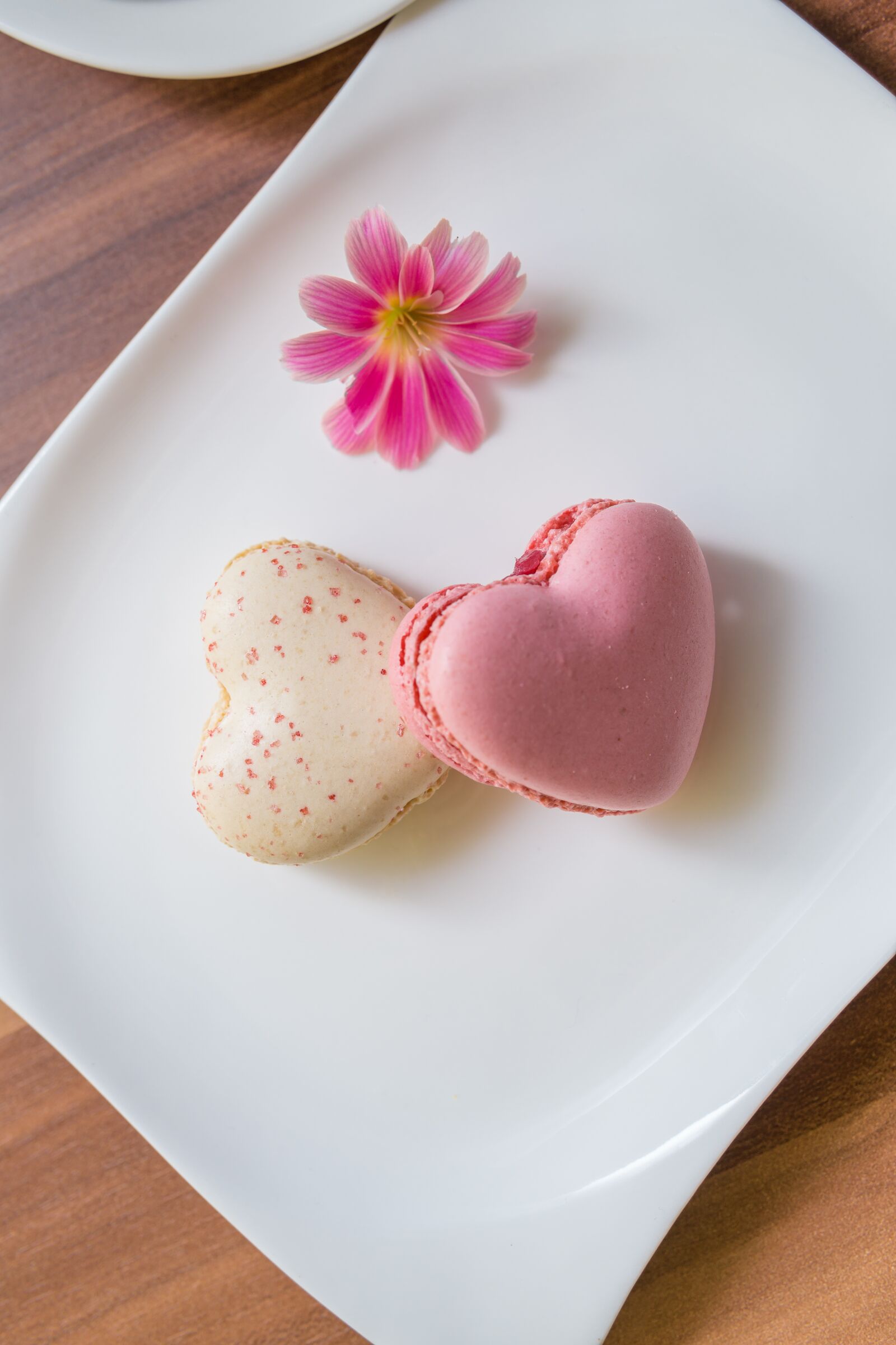 30mm F1.4 DC DN | Contemporary 016 sample photo. Macarons, heart shape, love photography