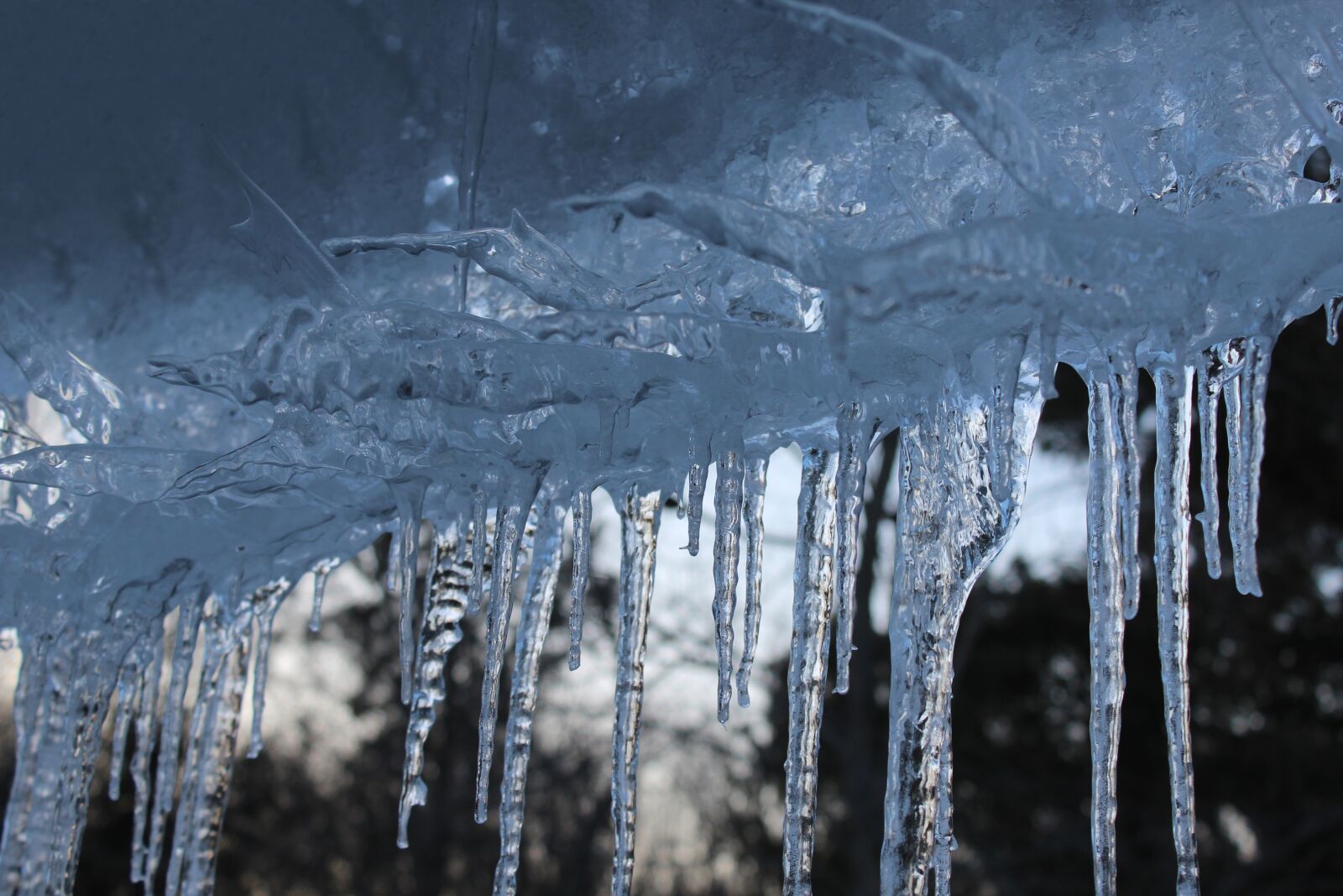 Canon EOS 1200D (EOS Rebel T5 / EOS Kiss X70 / EOS Hi) sample photo. Icicles, winter, cold photography