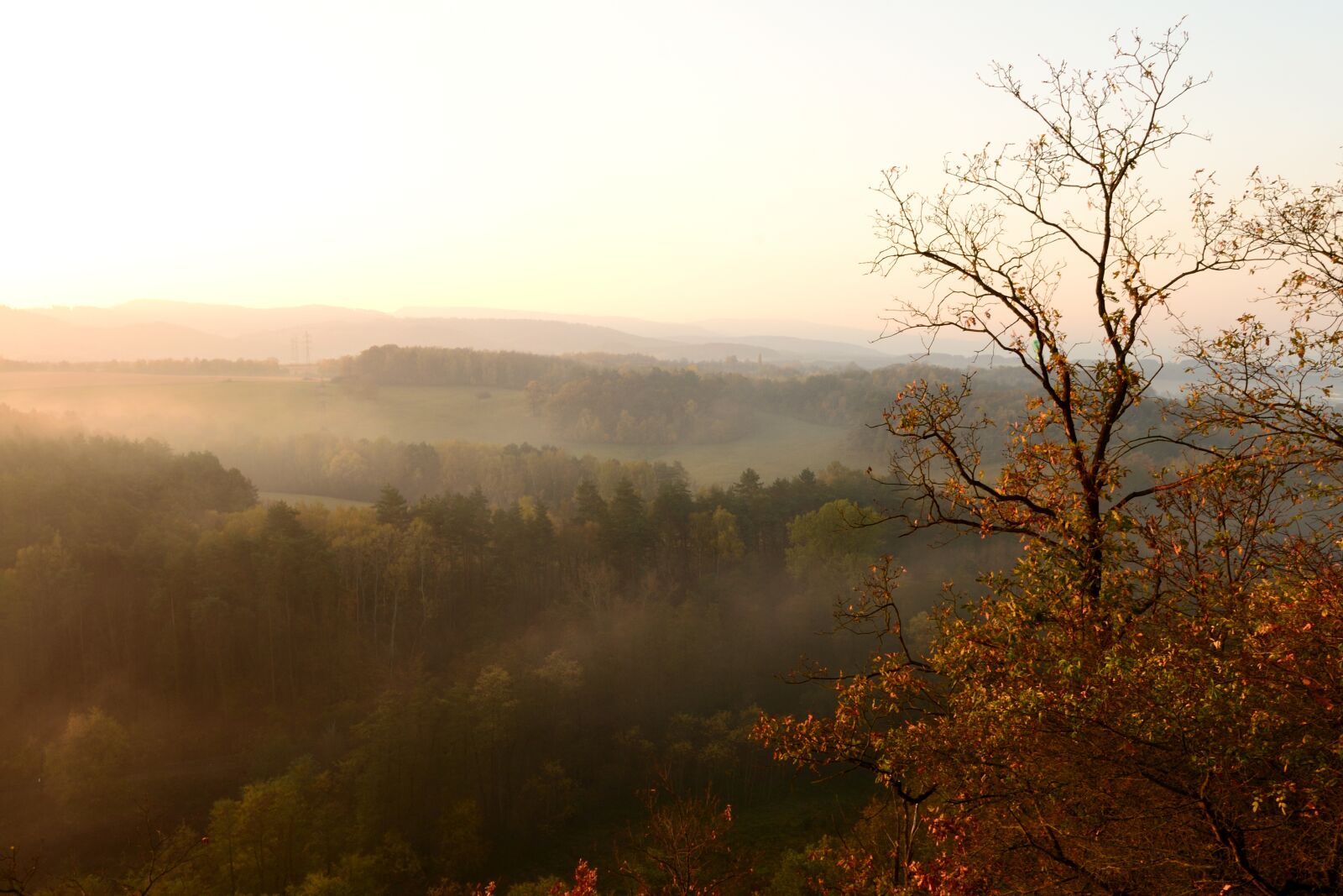 Nikon D3100 sample photo. Sunrise, autumn, nature photography