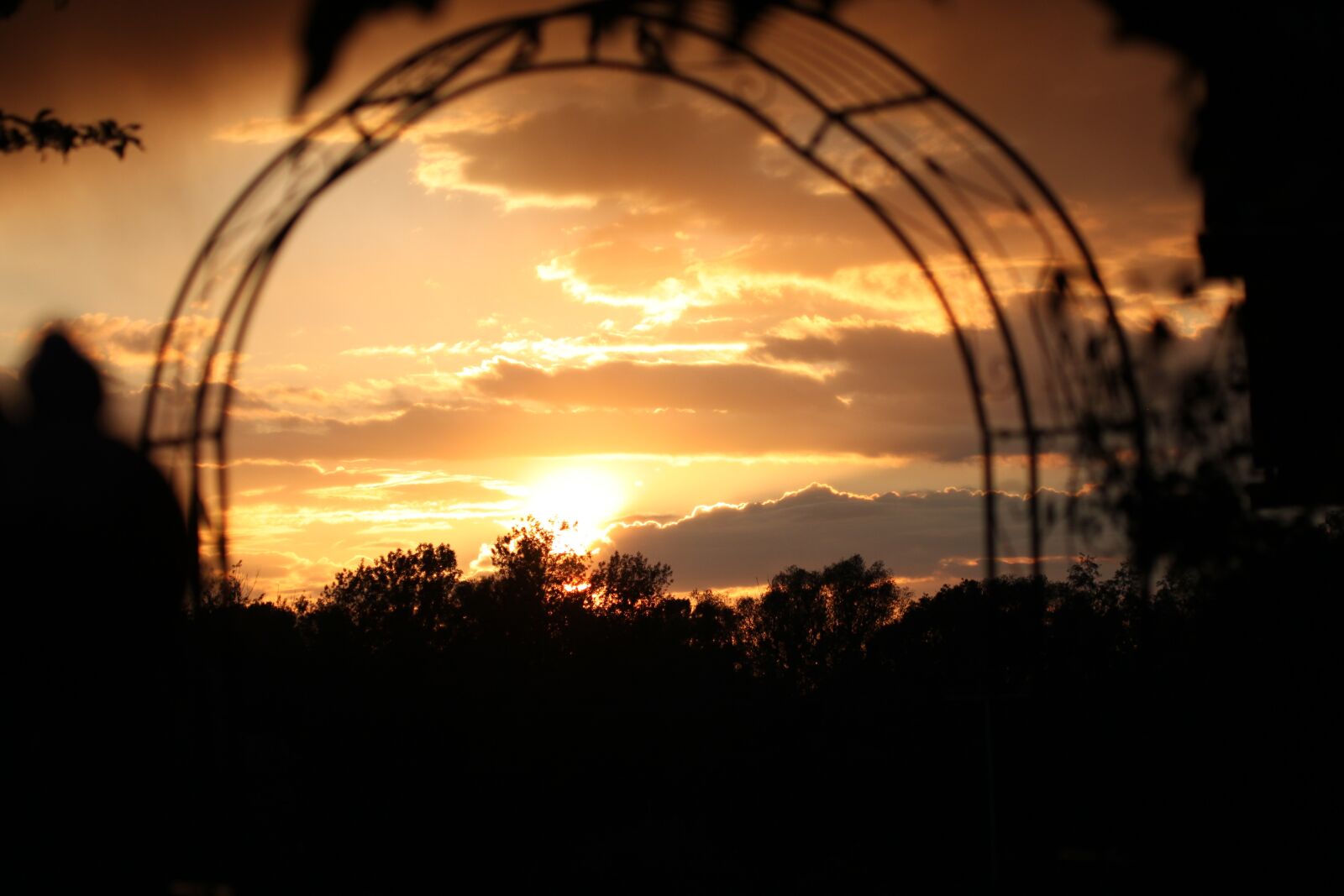 Canon EOS 500D (EOS Rebel T1i / EOS Kiss X3) sample photo. Sunset, night crane, sky photography