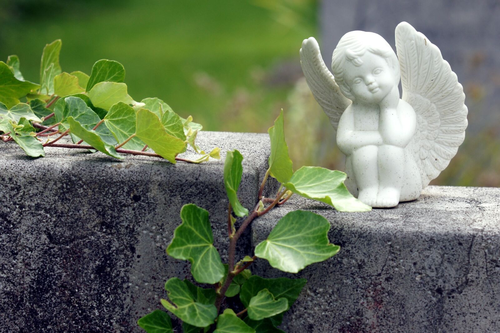 Sony Alpha DSLR-A700 sample photo. Angel, grabschmuck, reflection photography