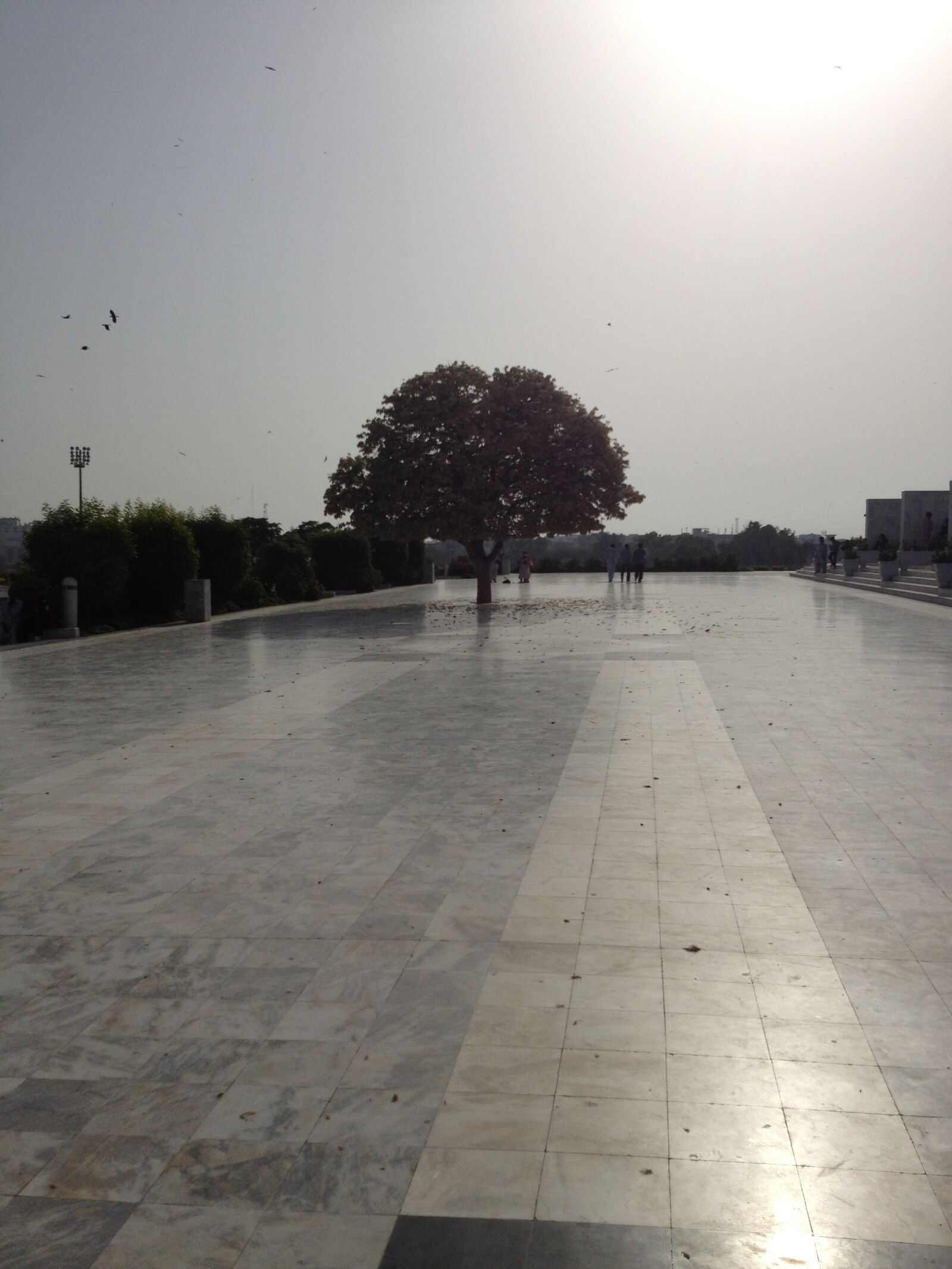 Apple iPhone 4S sample photo. Sunshine, tree shadow, shining photography