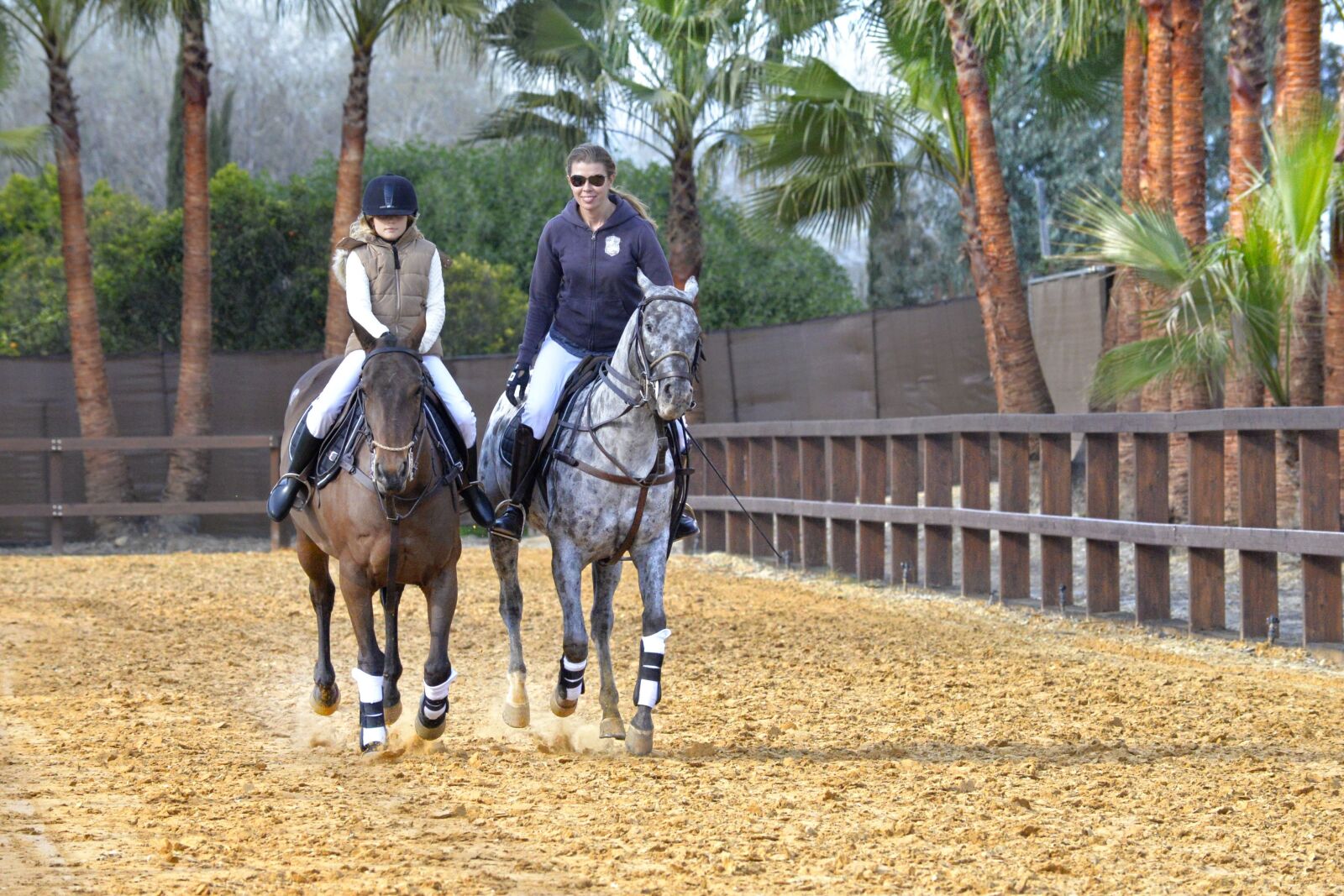 Nikon D610 sample photo. Horse, riding, galop photography
