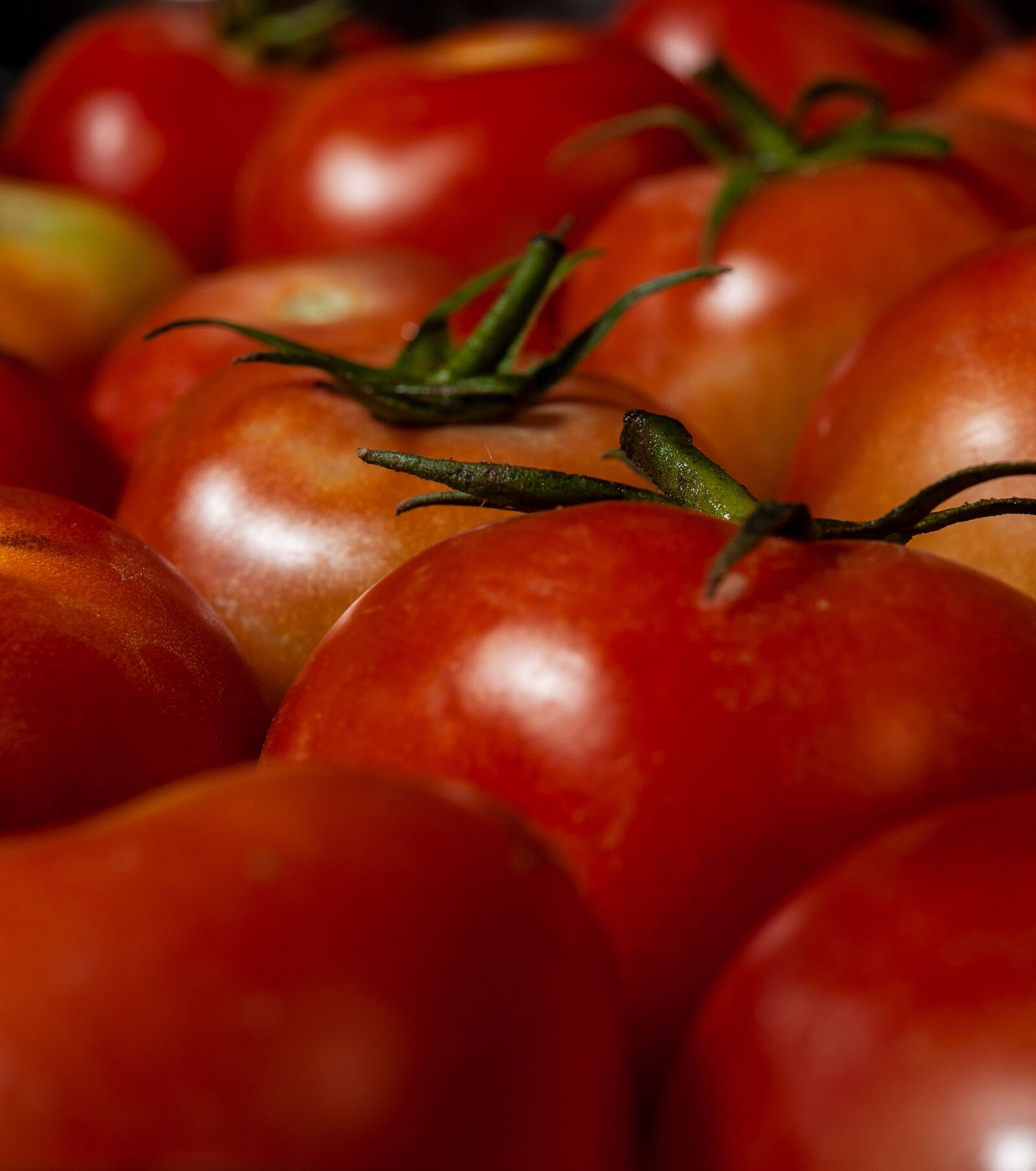 Nikon D700 sample photo. Tomatoes, vegetables, red photography