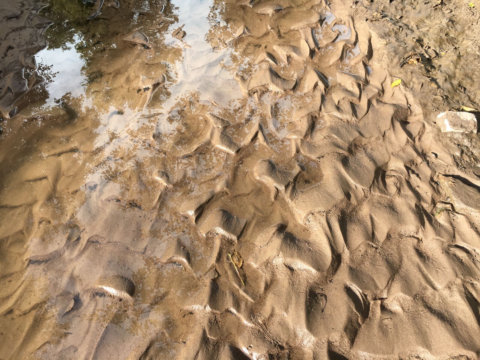 Apple iPhone 6s sample photo. Riverbed, creek, creek bed photography