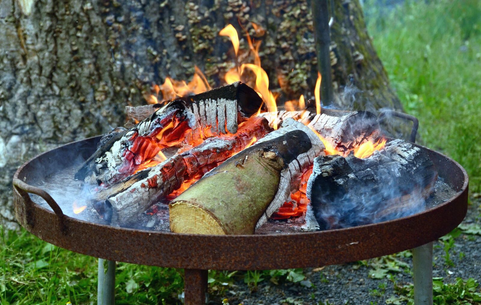 Nikon D5100 sample photo. Wood, fire, grill, smoke photography