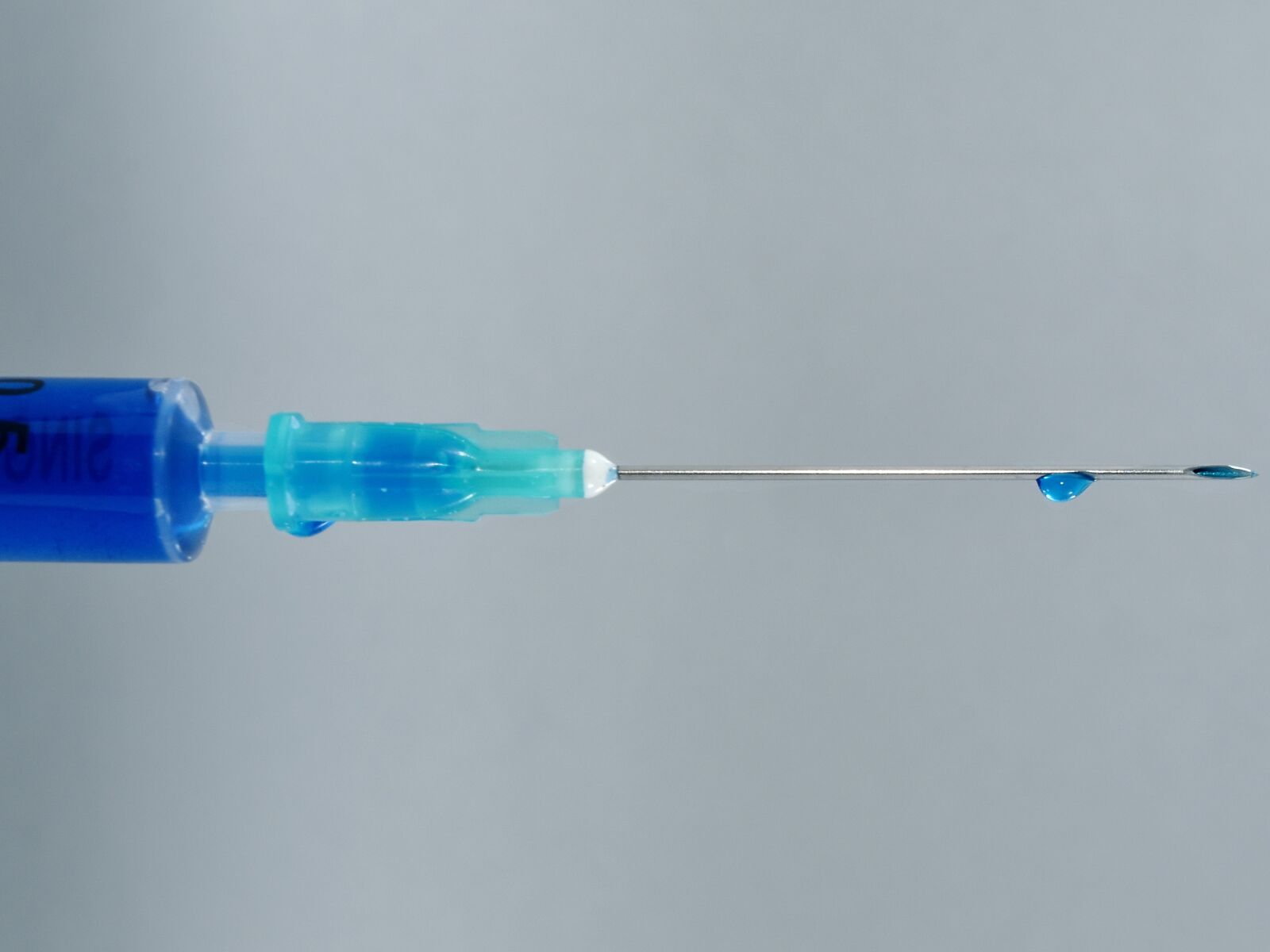 Nikon D5500 sample photo. Blue, close-up, cure, horizontal photography