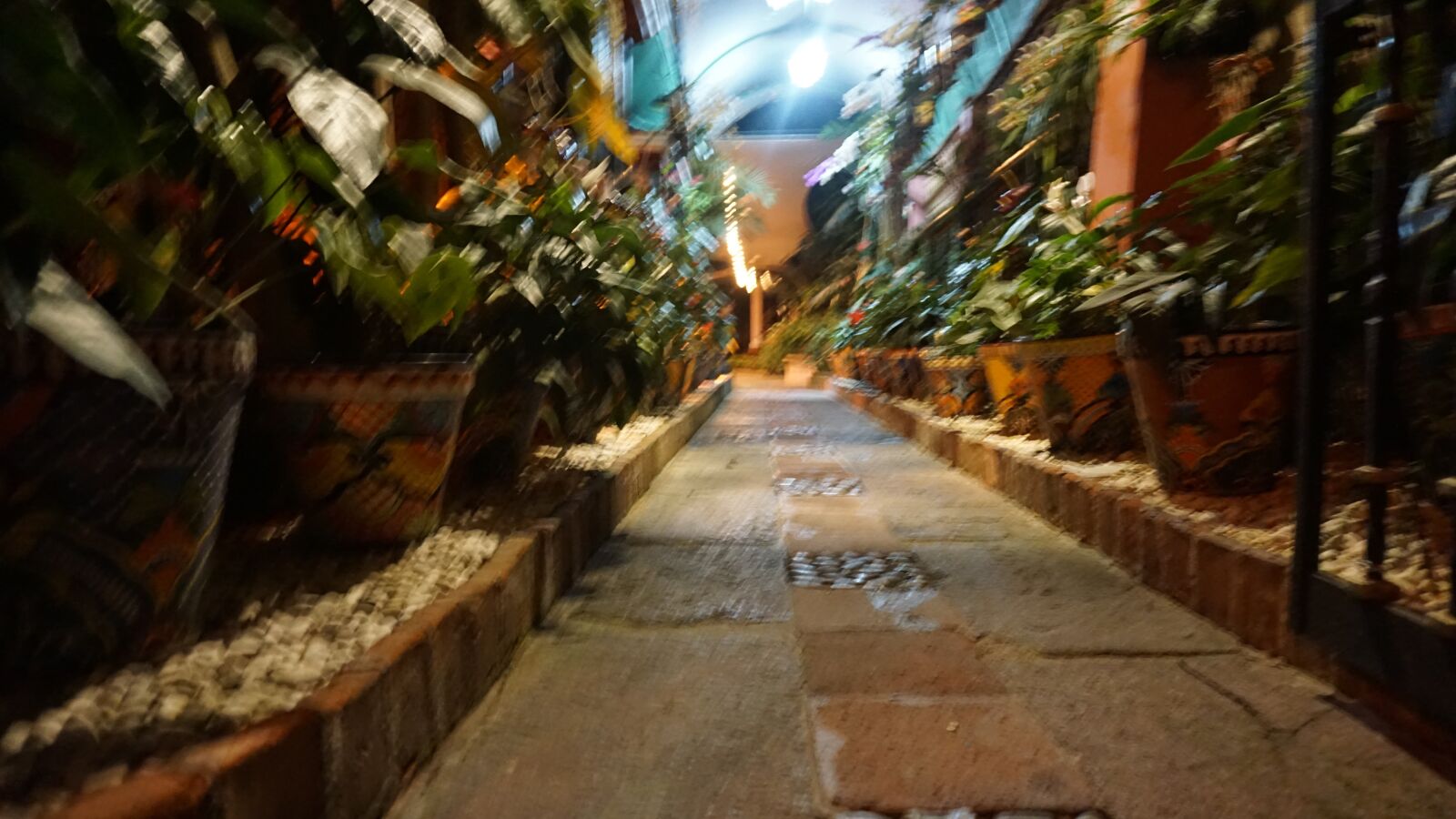 Sony a6000 sample photo. Pasillo, maceta, plantas photography