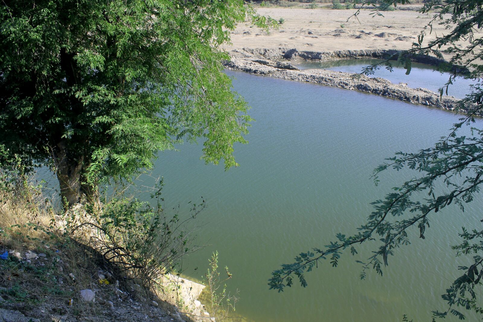 Canon EOS 1100D (EOS Rebel T3 / EOS Kiss X50) sample photo. River, branch, the tree photography