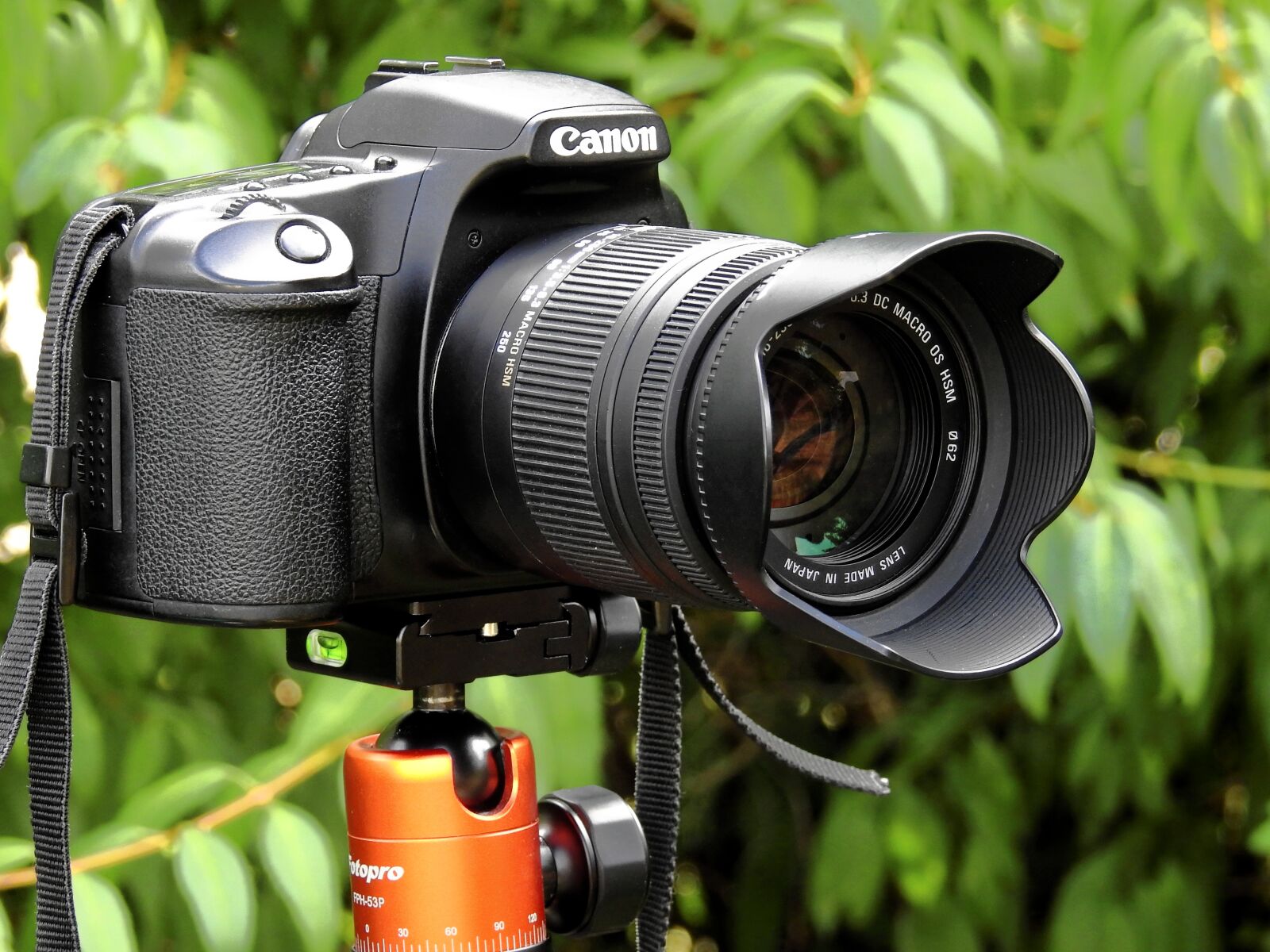 Nikon Coolpix P900 sample photo. Camera, digital camera, photograph photography
