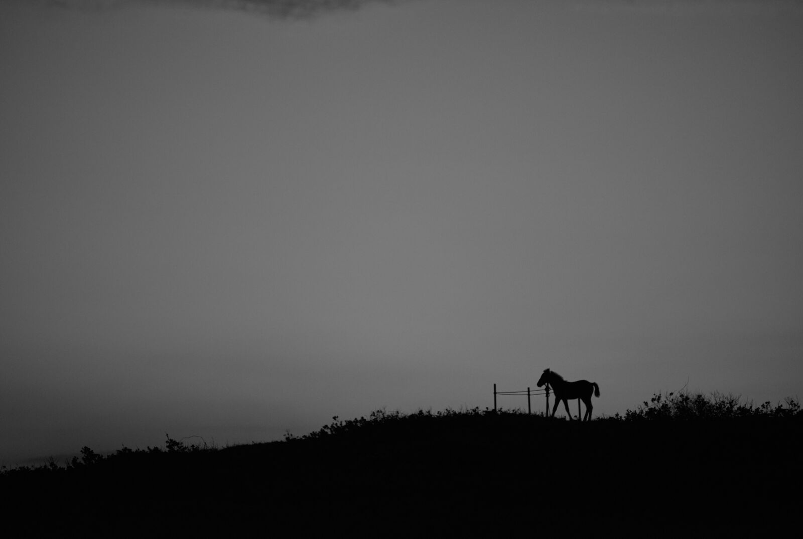 Nikon D810 sample photo. Sea, jeju, nature photography