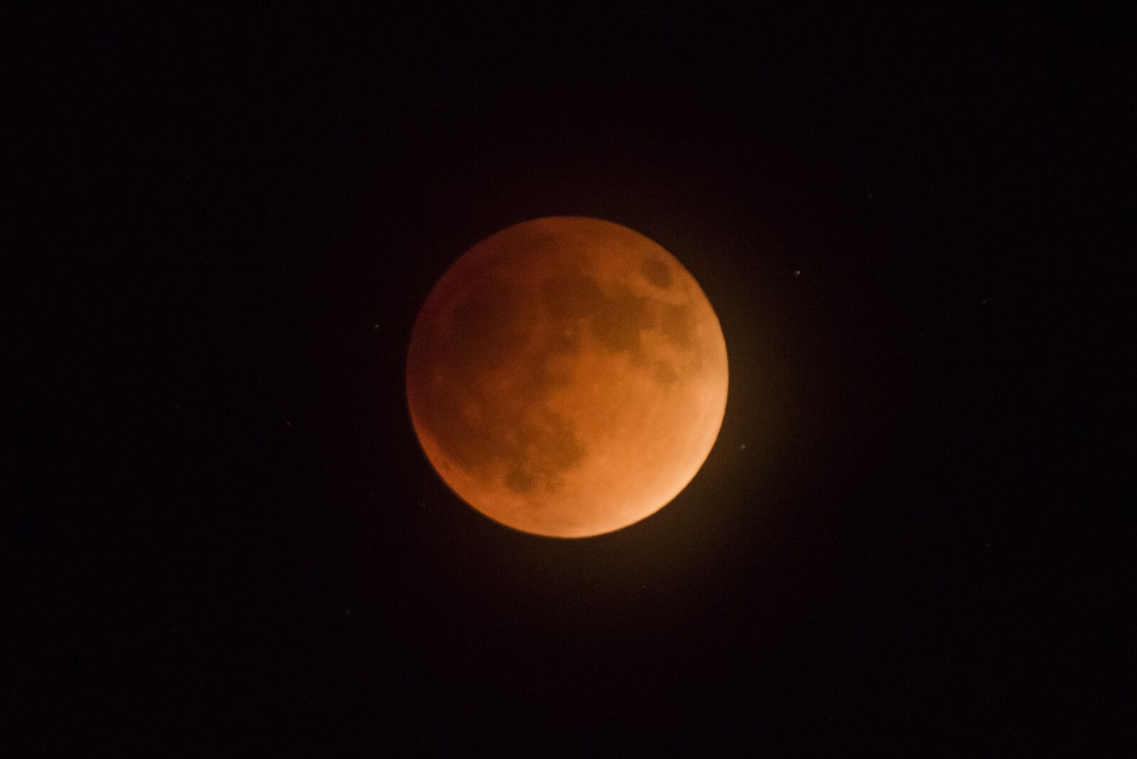 Nikon D810 sample photo. Full moon, night, sky photography