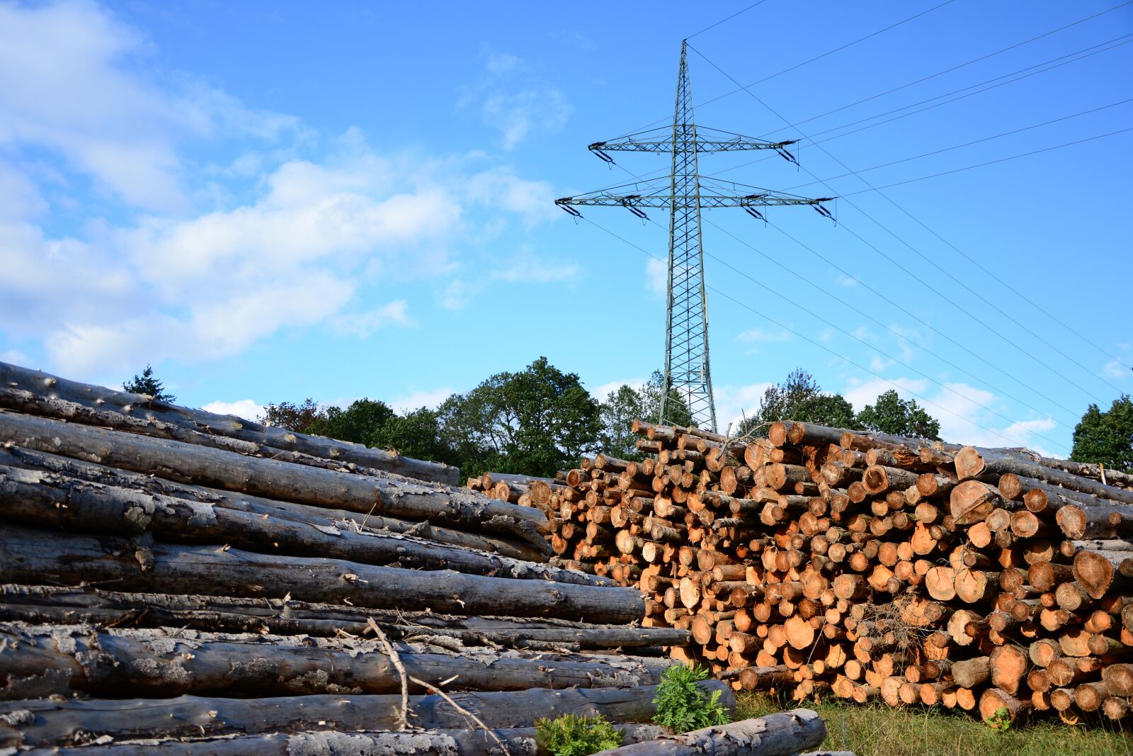 Nikon D5200 sample photo. Wood, current, energy photography