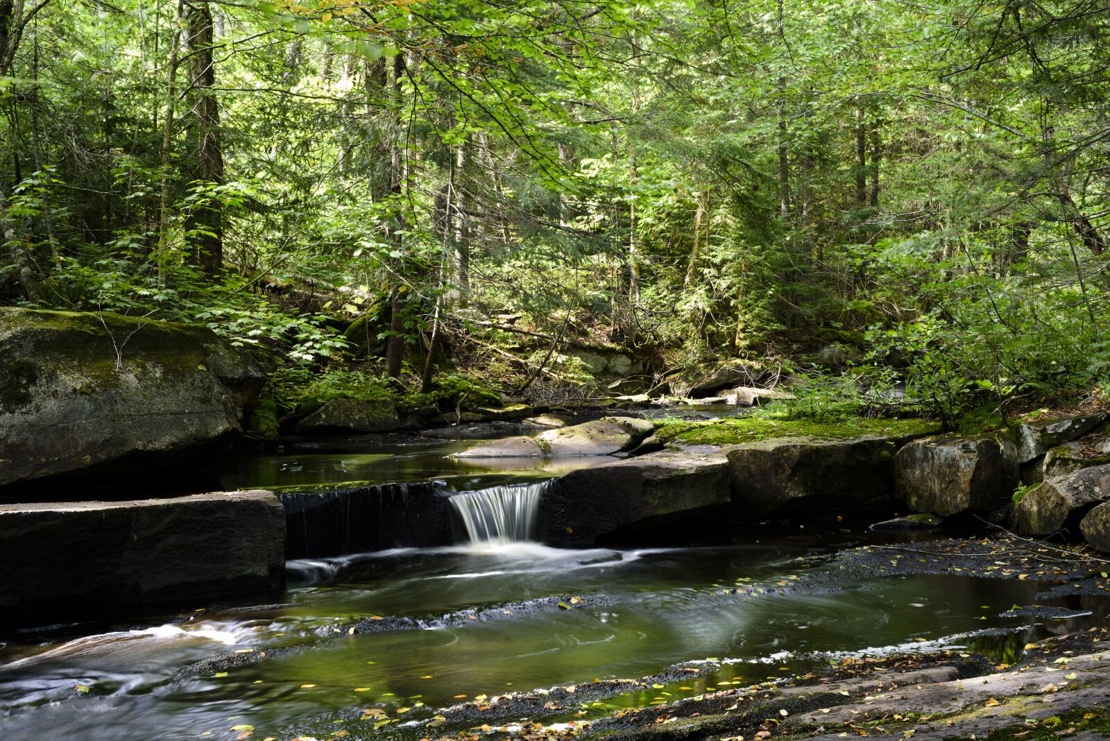 Nikon D810 sample photo. Landscape, fast water, creek photography