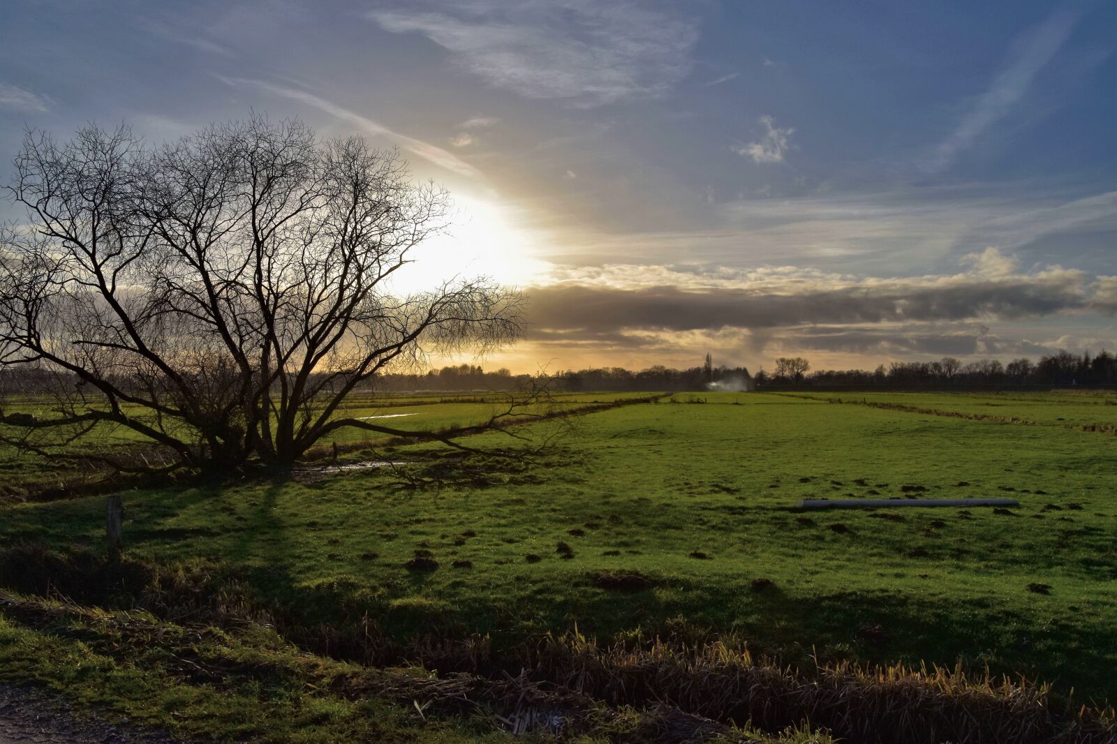Nikon D5600 sample photo. Landscape, scenic, hasbergen photography