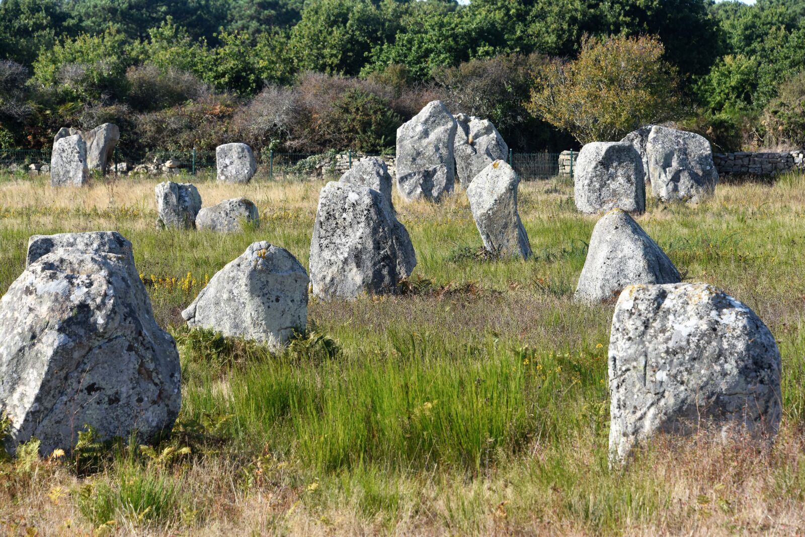 Nikon D810 sample photo. Alignments, carnac, france photography
