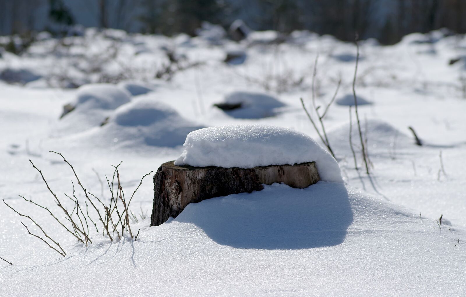 Pentax K-S2 sample photo. Winter, snow, biel photography